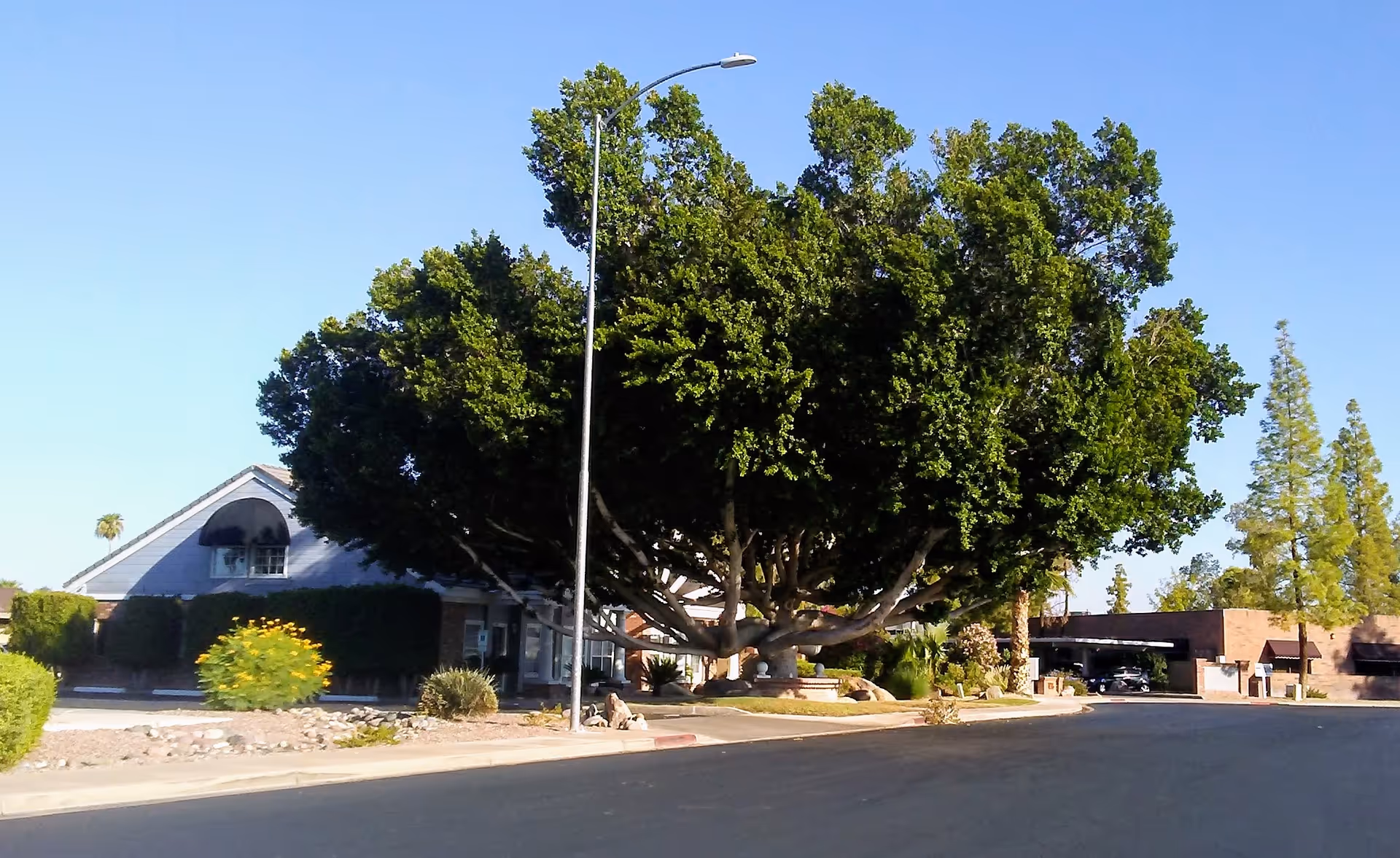 Exterior view of Americare Hospice and Palliative Care building with a large tree in front.