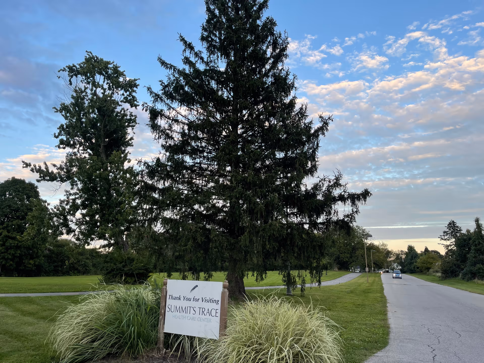 Outdoor scene with Summit's Trace sign, tall trees, and a grassy area by a road.