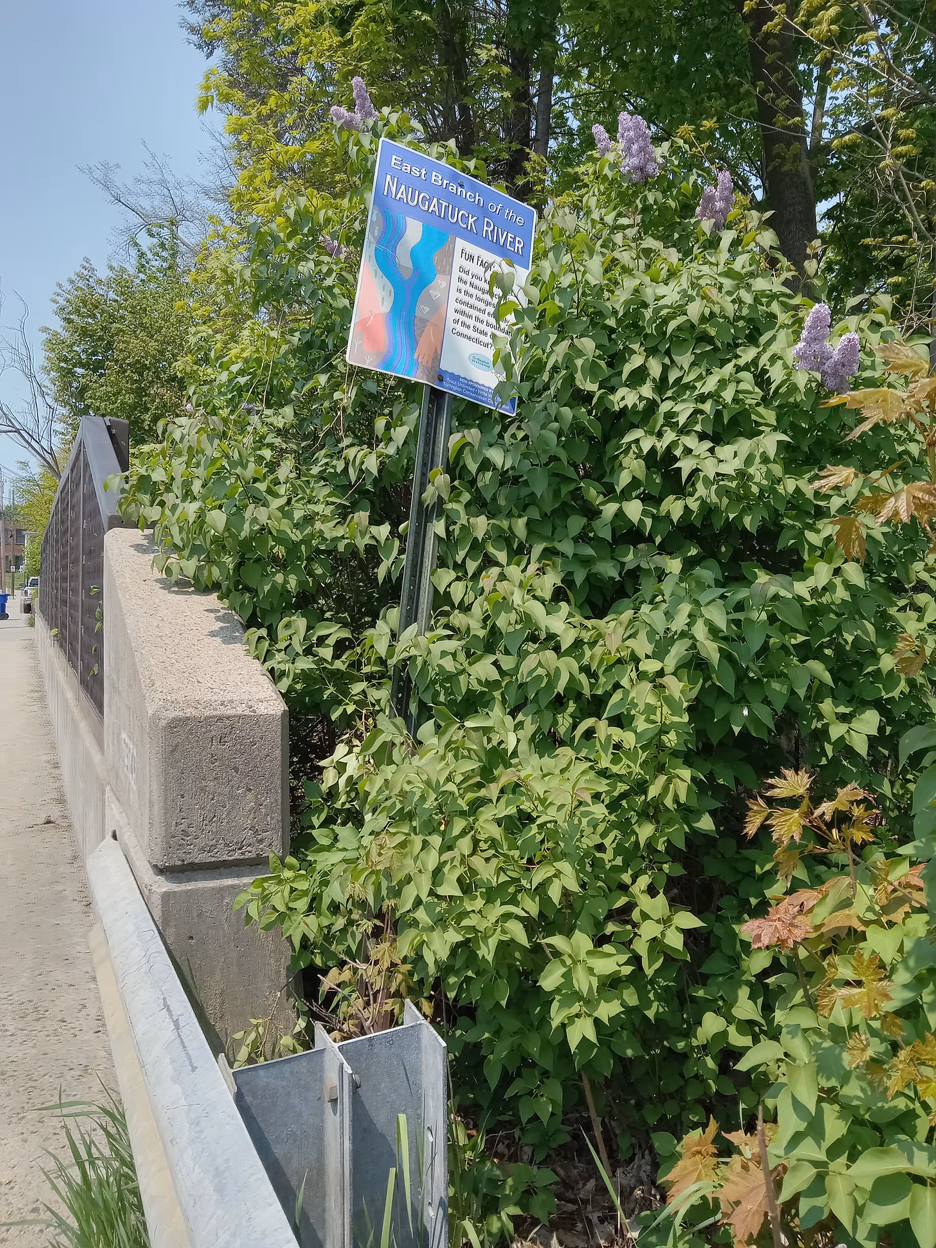 Sidewalk with railing beside dense green shrubs and a blue river sign on a post.