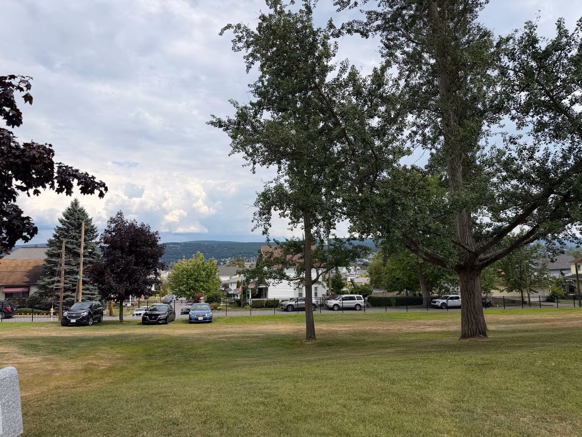 Open grassy park area with large trees, a fence, and distant houses and parked cars