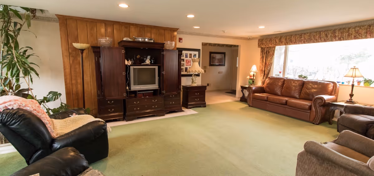 Cozy living room with leather sofas, a wooden TV cabinet, and a green carpet.