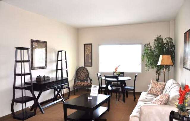Cozy living room with a sofa, coffee table, dining table, chairs, and plants.