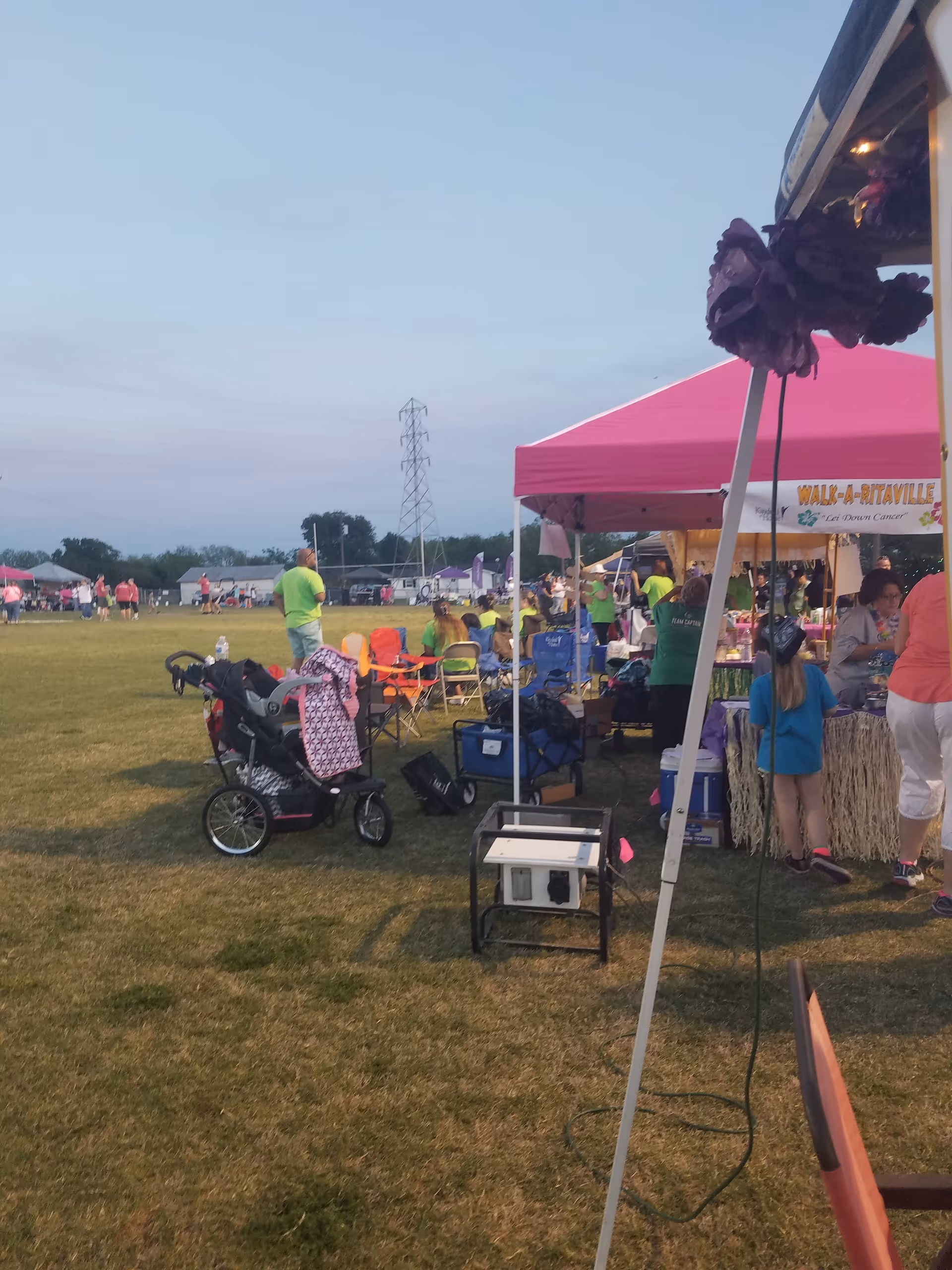 Outdoor grassy area with pink tents, people gathered for a community event.