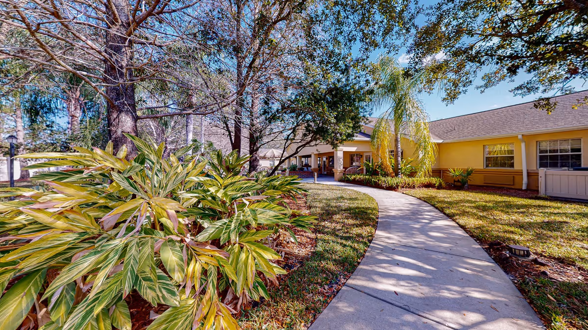 Curved concrete walkway leads to Arden Courts Tampa entrance, bordered by shrubs and trees.