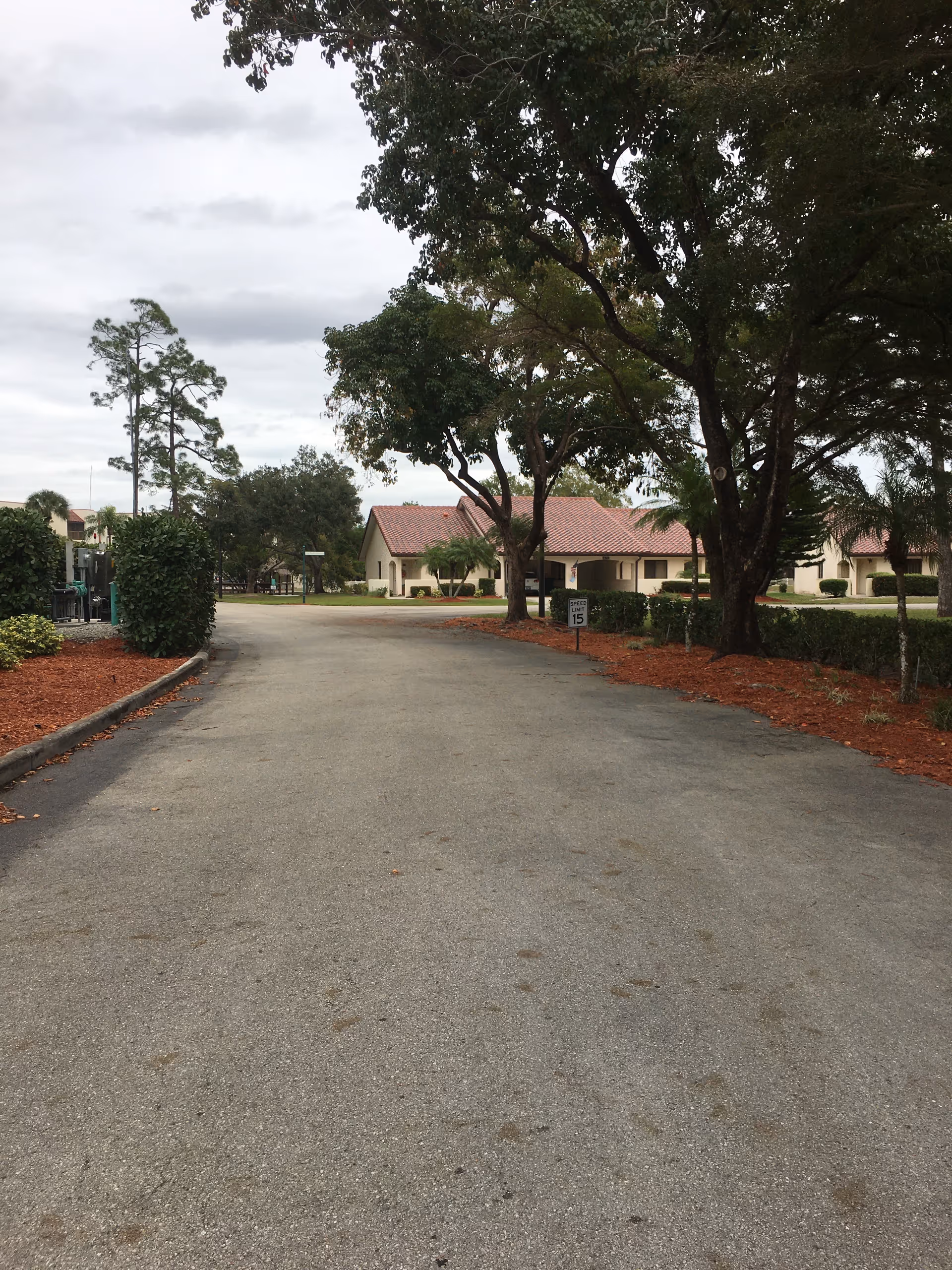 Solaris Healthcare Lely Palms campus along a tree-lined driveway with beige buildings.