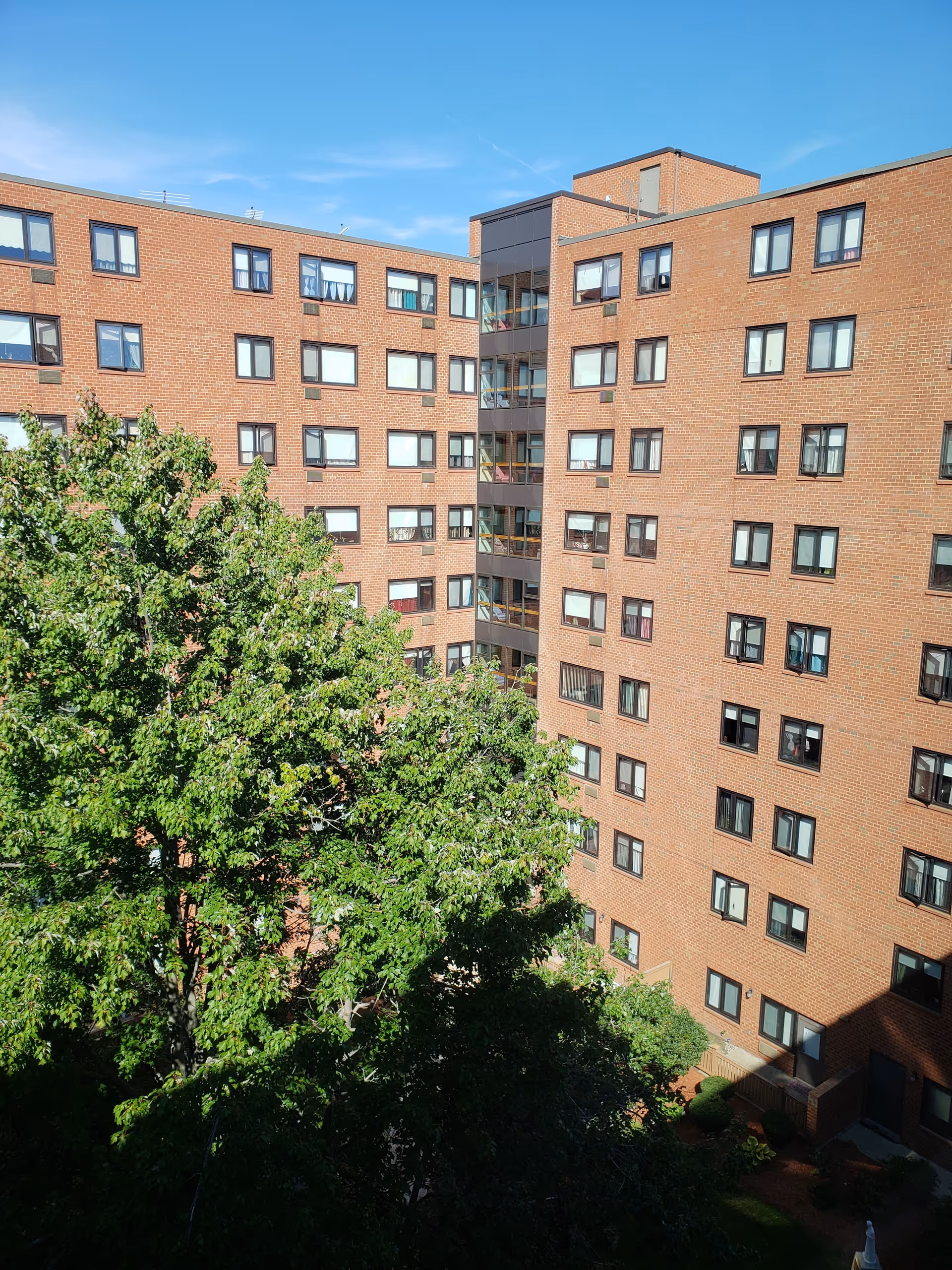 Brick senior living facility exterior with many windows and a large tree in the foreground.