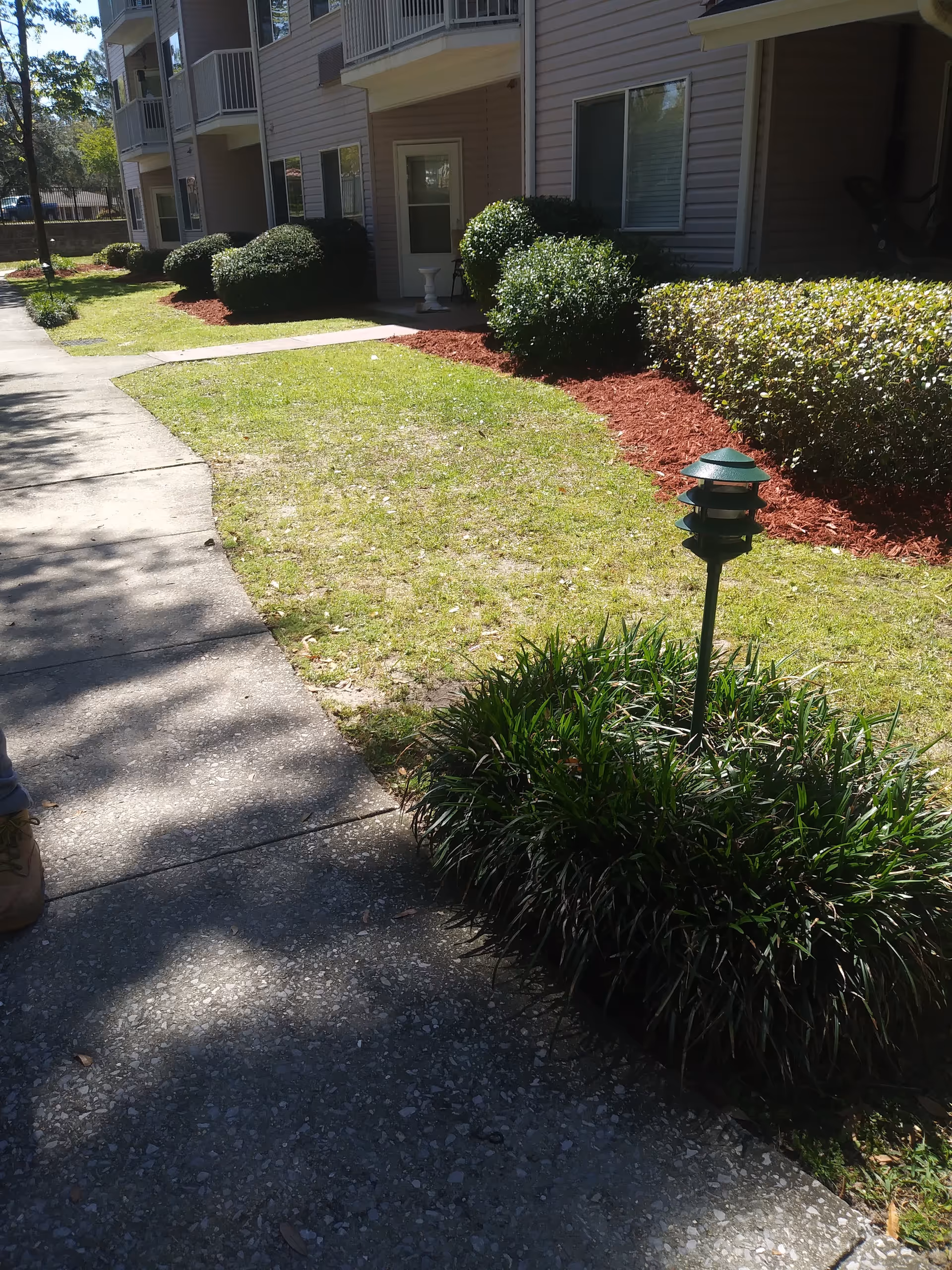 Exterior view of University Pines Sky Active Living with walkway, shrubs, and a garden lamp.