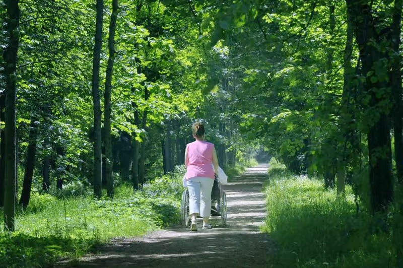 A caregiver pushes a wheelchair along a sunlit forest path.
