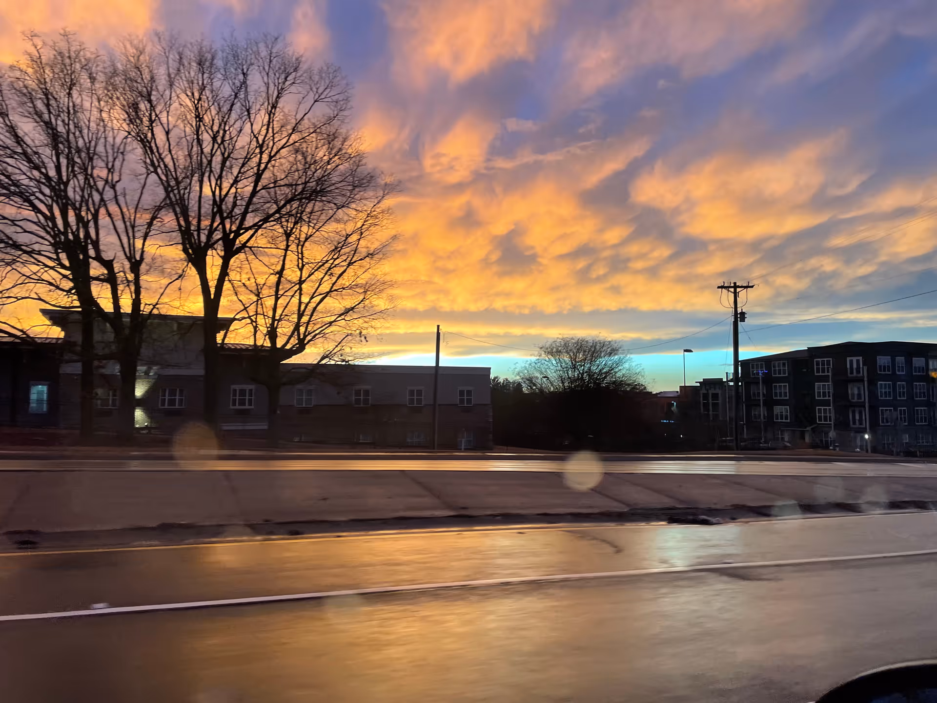 Exterior street view with leafless trees and low-rise buildings beneath a colorful sunset sky.
