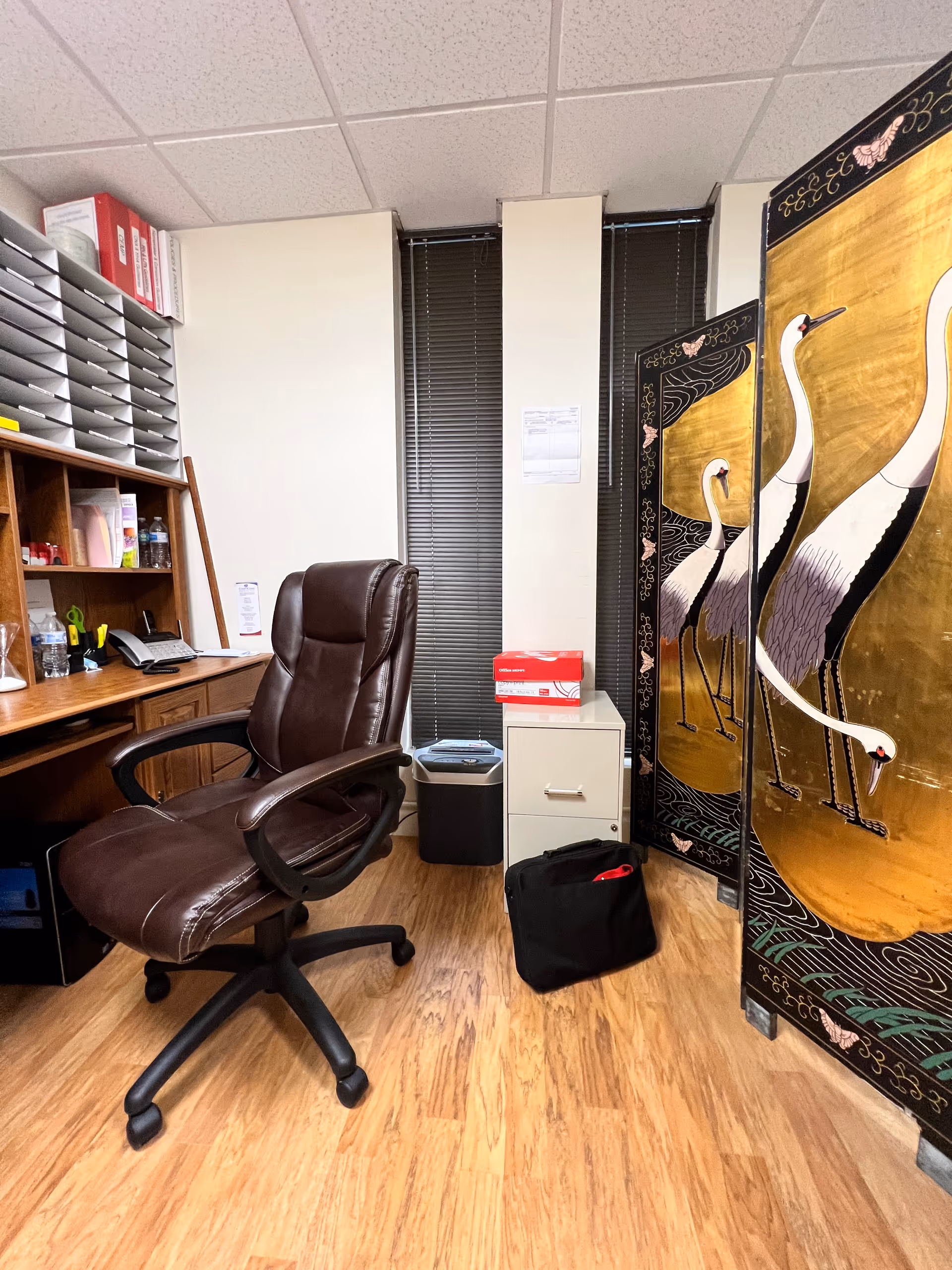 Office workspace with brown leather chair, desk, shelves, and divider screen.