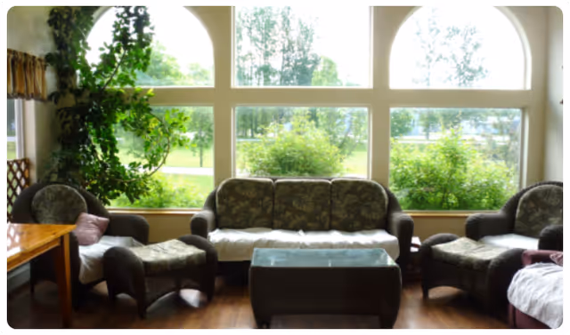 A cozy living room area with a sofa, two armchairs, and a glass-top coffee table. Large windows with arched tops let in natural light and offer a view of green trees and bushes outside. There is a wooden table visible on the left side and a large leafy plant near the window.