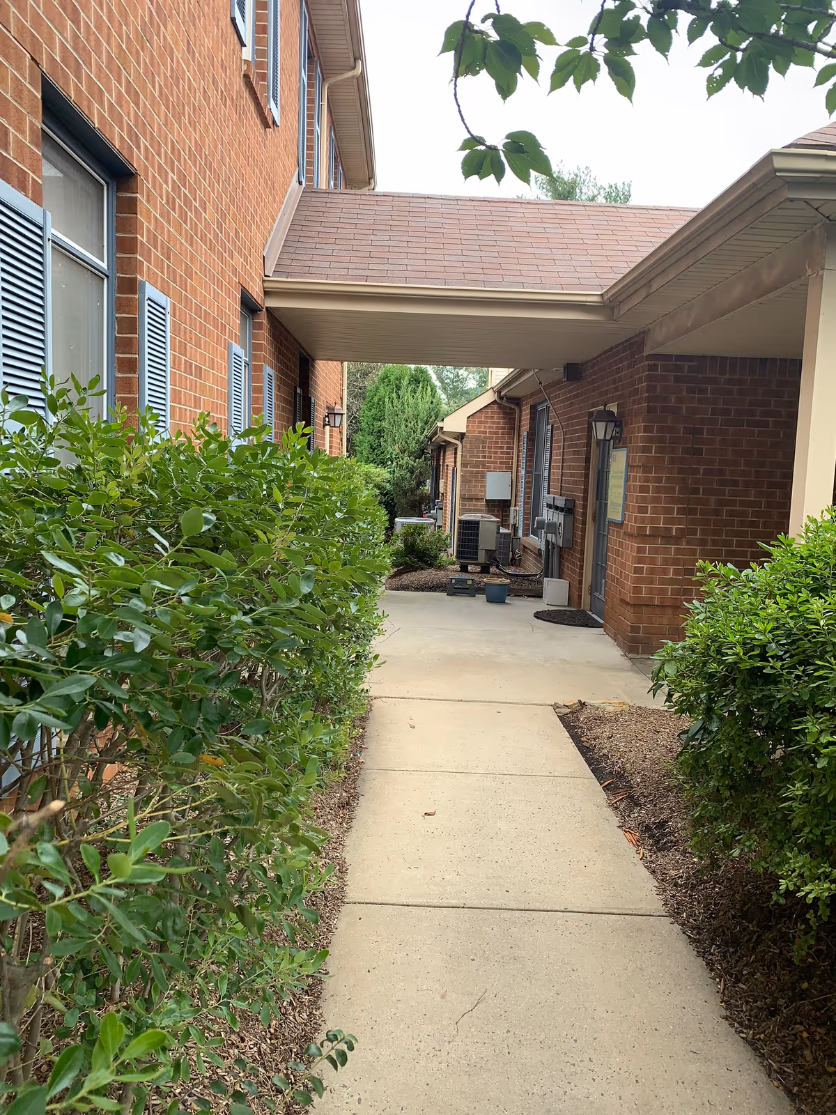 Brick exterior walkway between buildings with green hedges and a covered corridor.