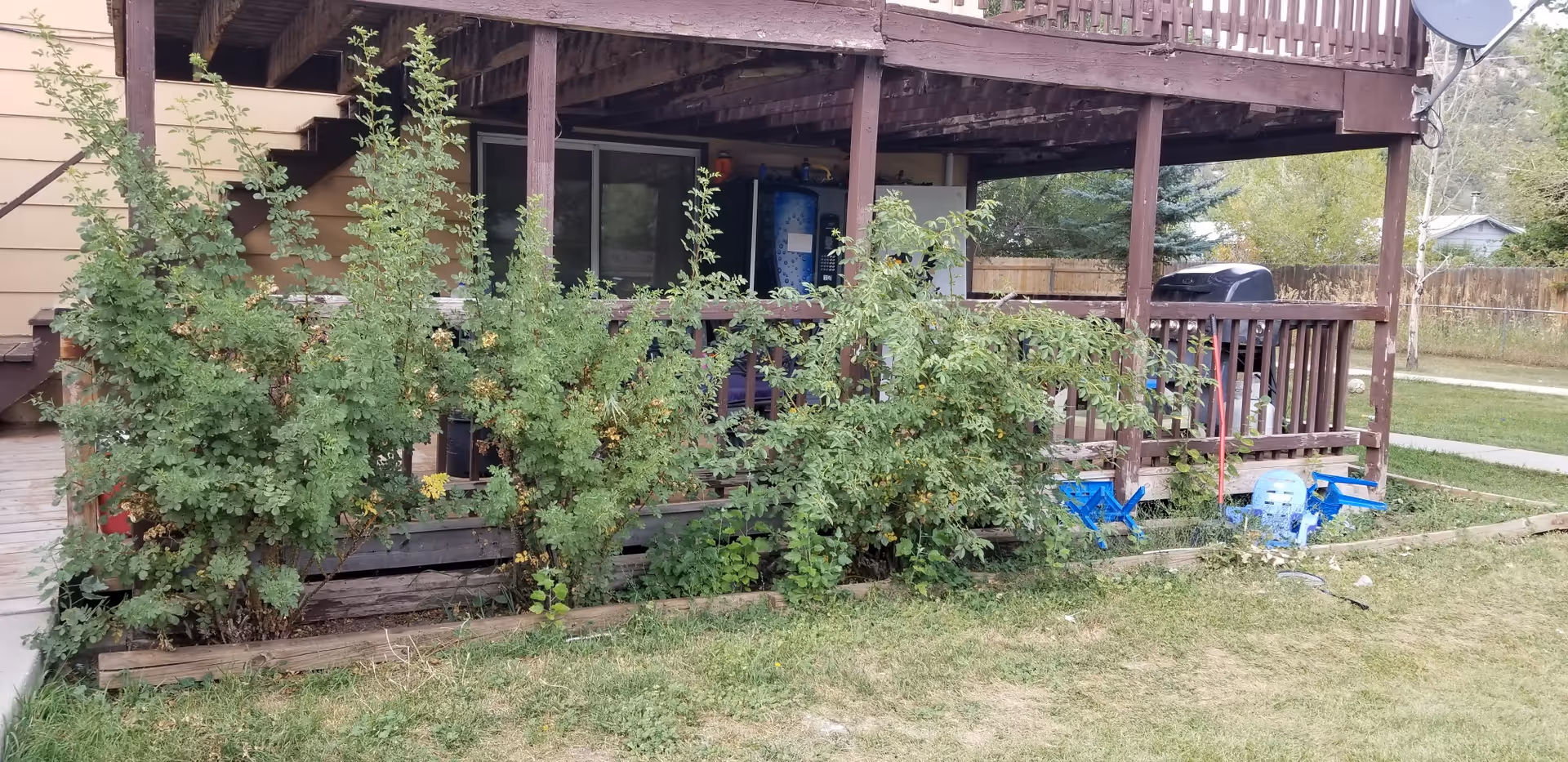 Wooden elevated porch with overgrown shrubs and scattered blue lawn chairs.