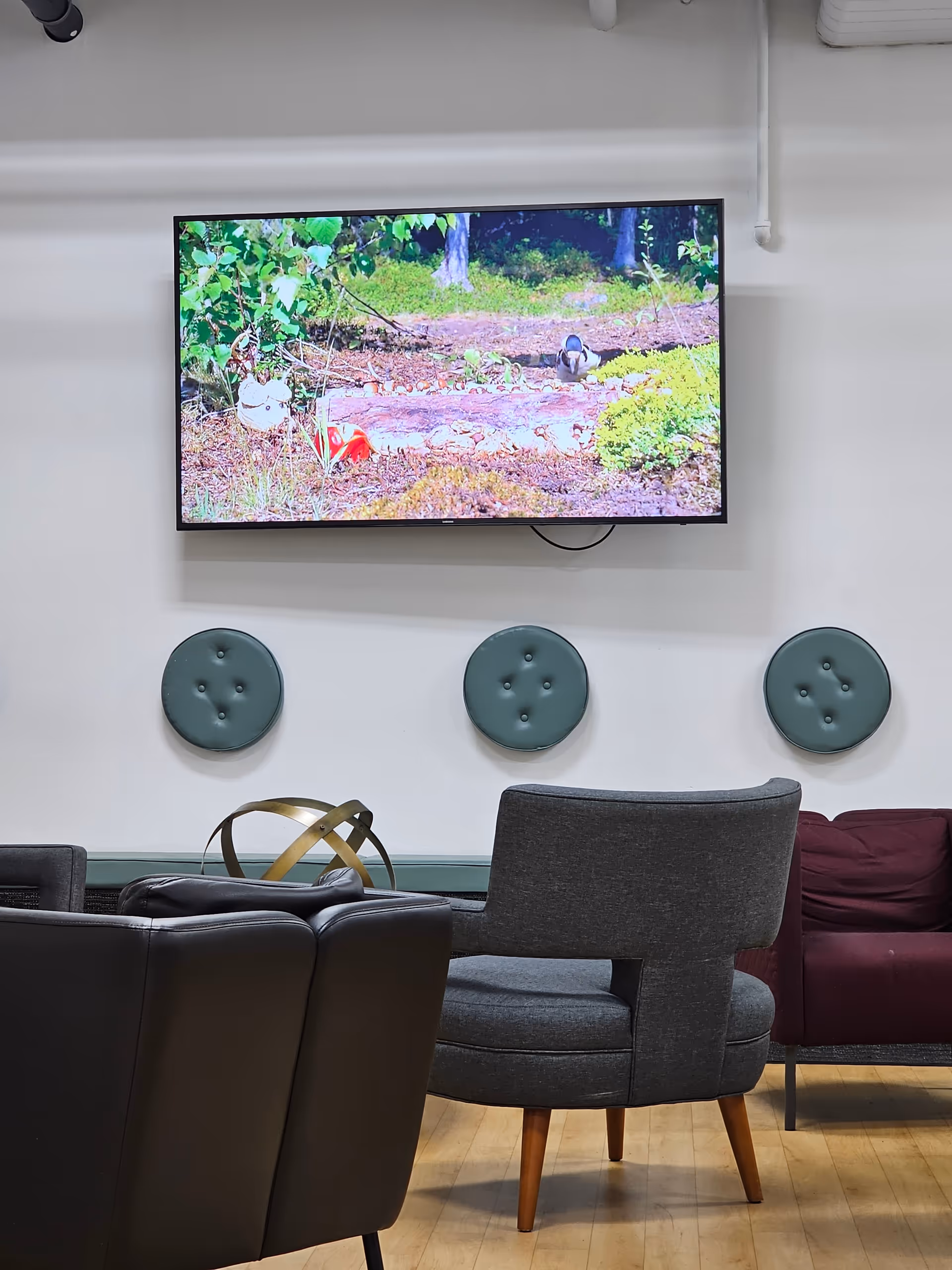 Indoor lounge with a wall-mounted TV, circular green cushions, and assorted comfy seating.