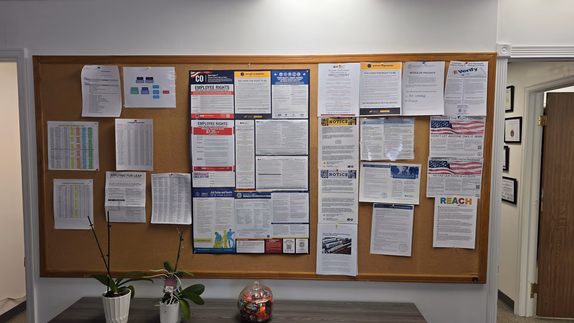 Interior hallway bulletin board densely posted with notices and forms, flanked by plants.