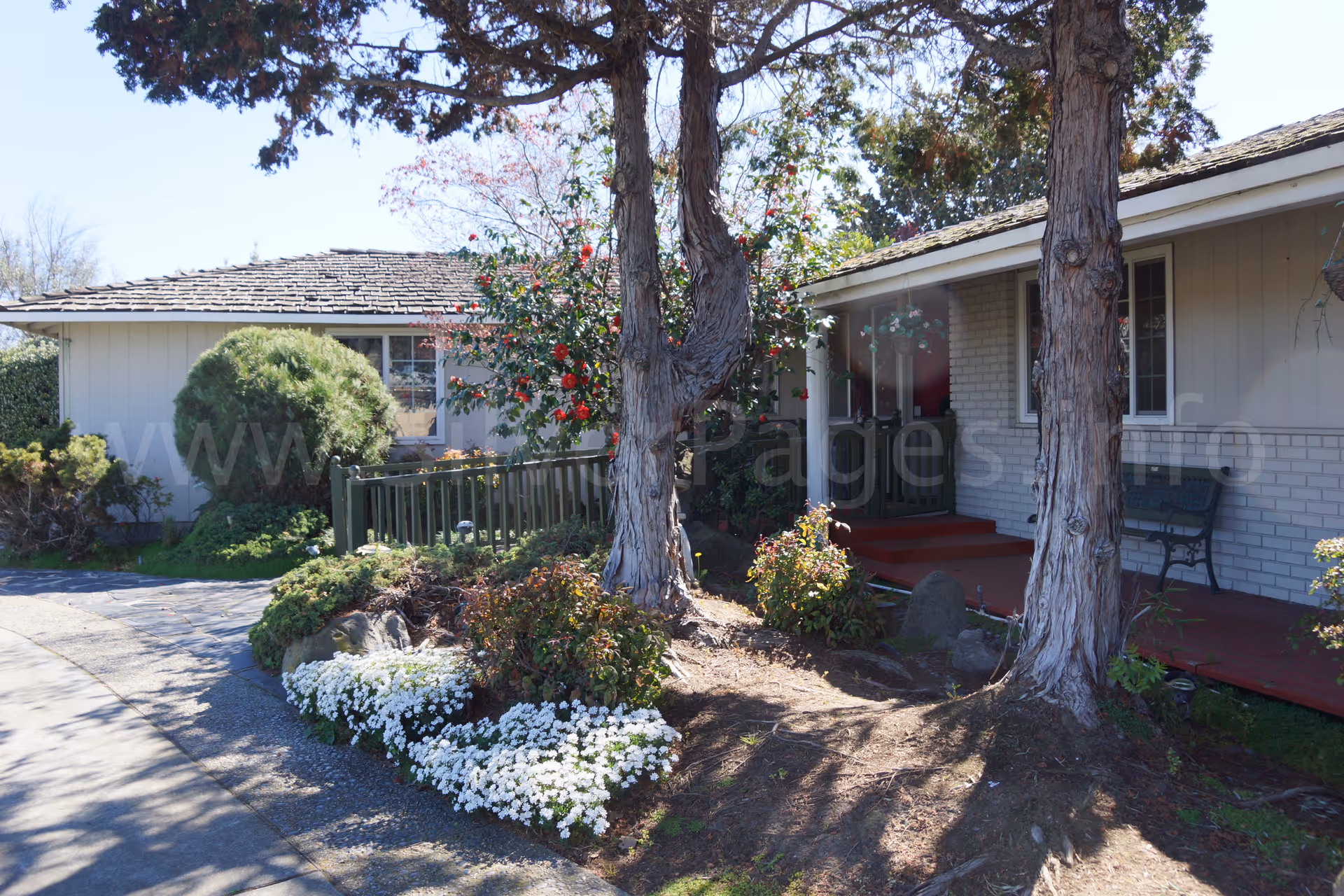 Exterior view of Pruneridge Residential Care Home with trees, shrubs, and a porch.