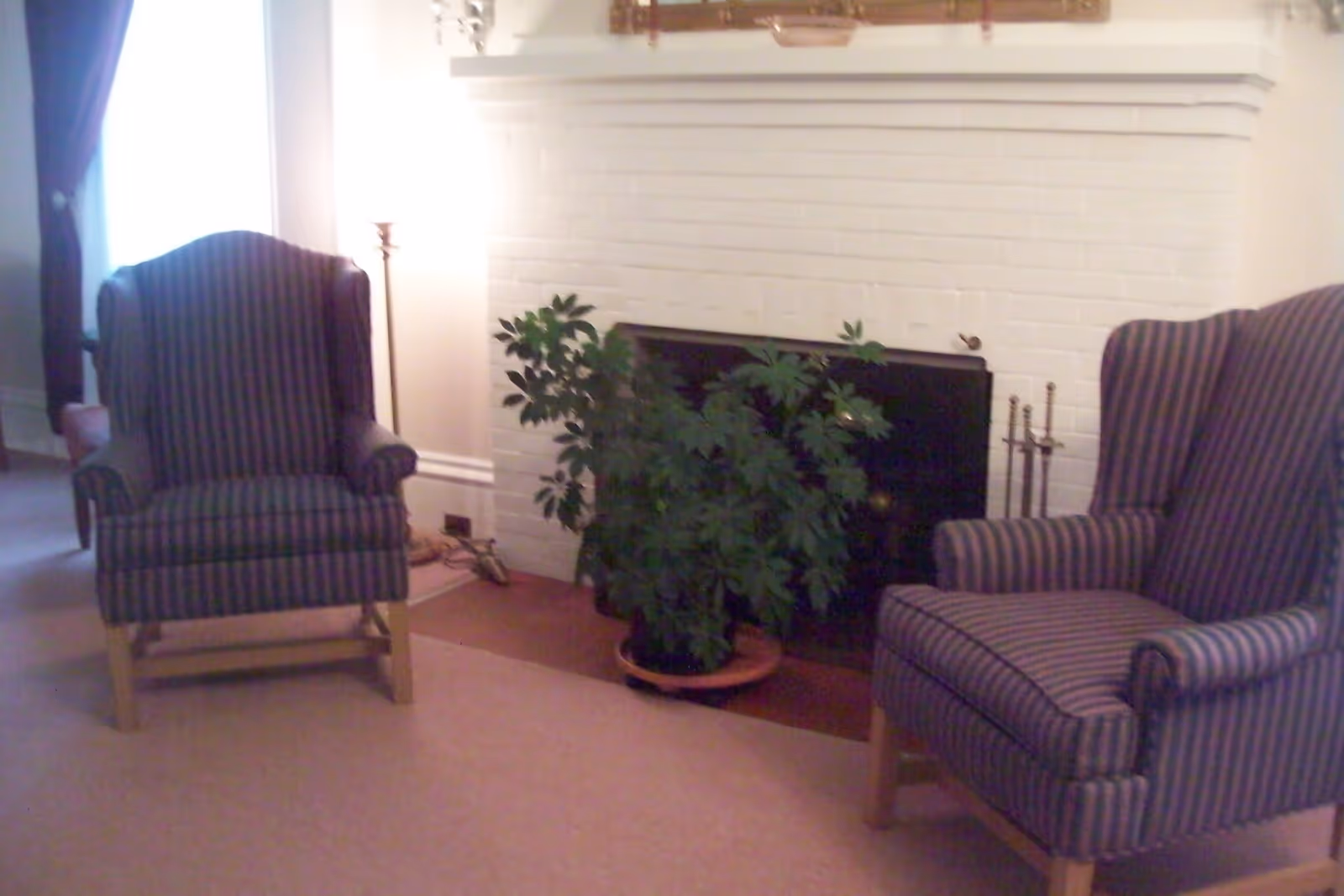 A cozy living room area with two striped armchairs facing each other on either side of a white brick fireplace. A green potted plant is placed in front of the fireplace, and a floor lamp is positioned near the left armchair next to a window with dark curtains.