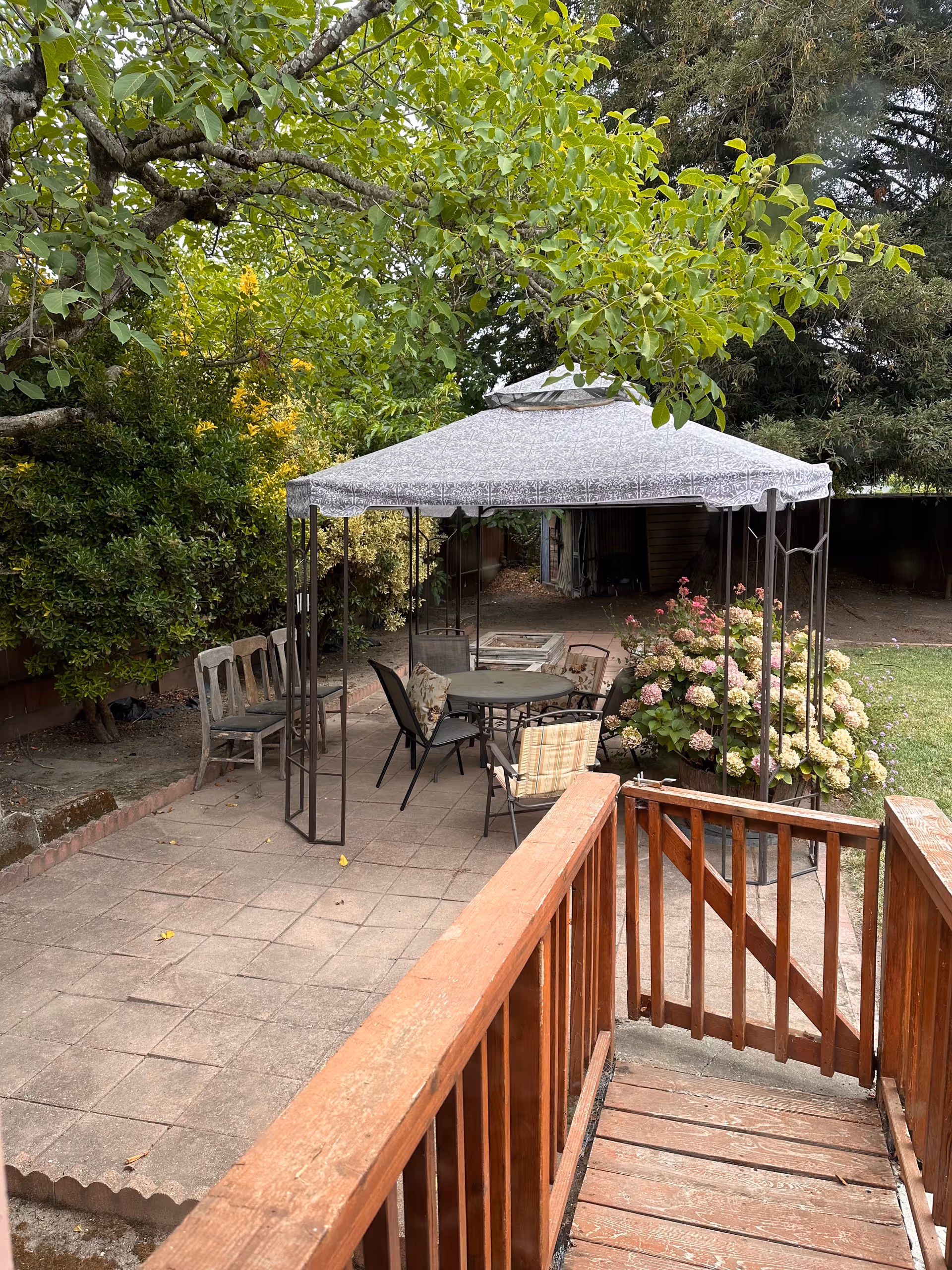 Outdoor courtyard with a canopy, table, chairs, and hydrangeas under trees.