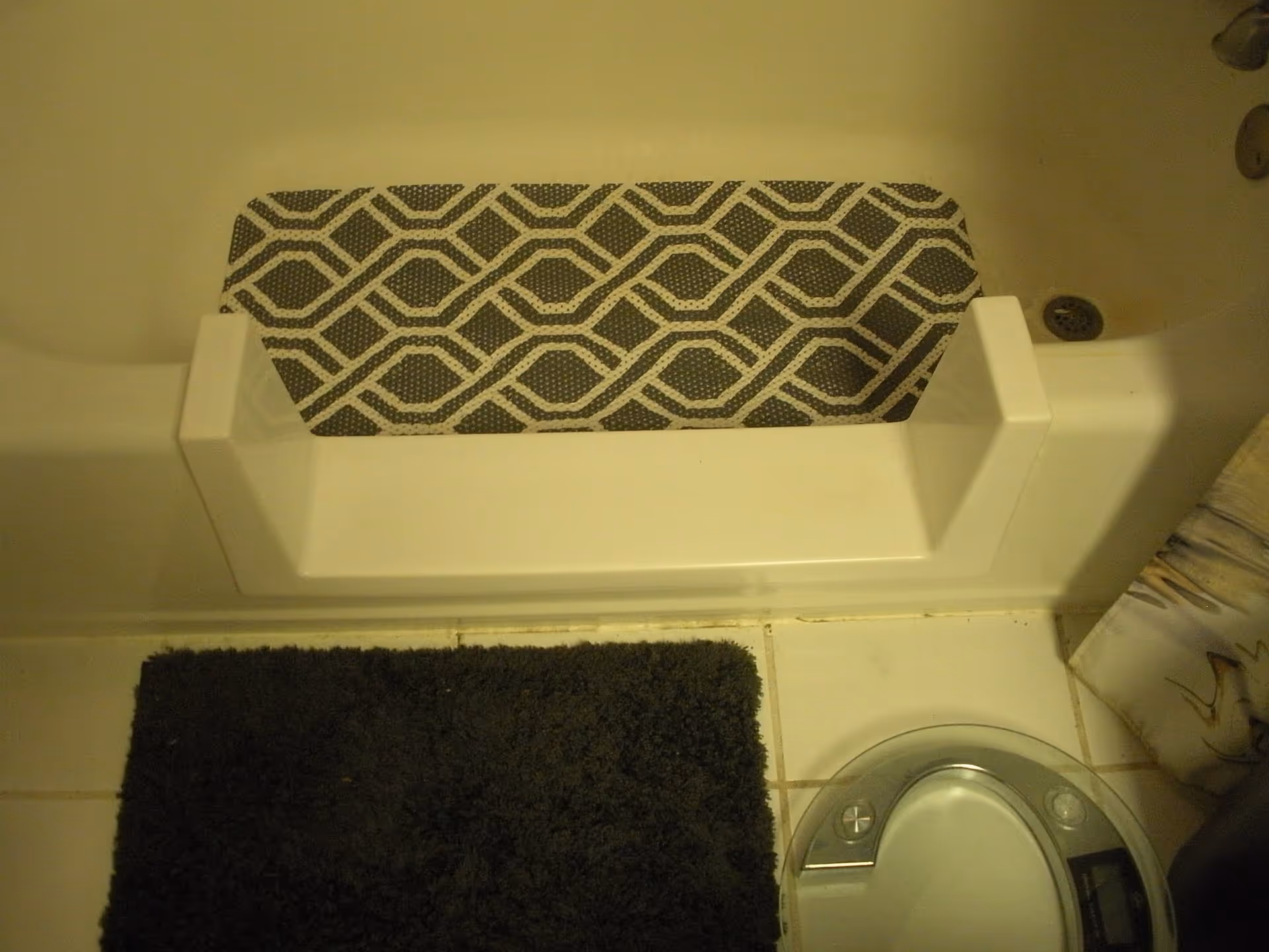 Accessible bathroom with a built-in tub seat, dark rug, and toilet.