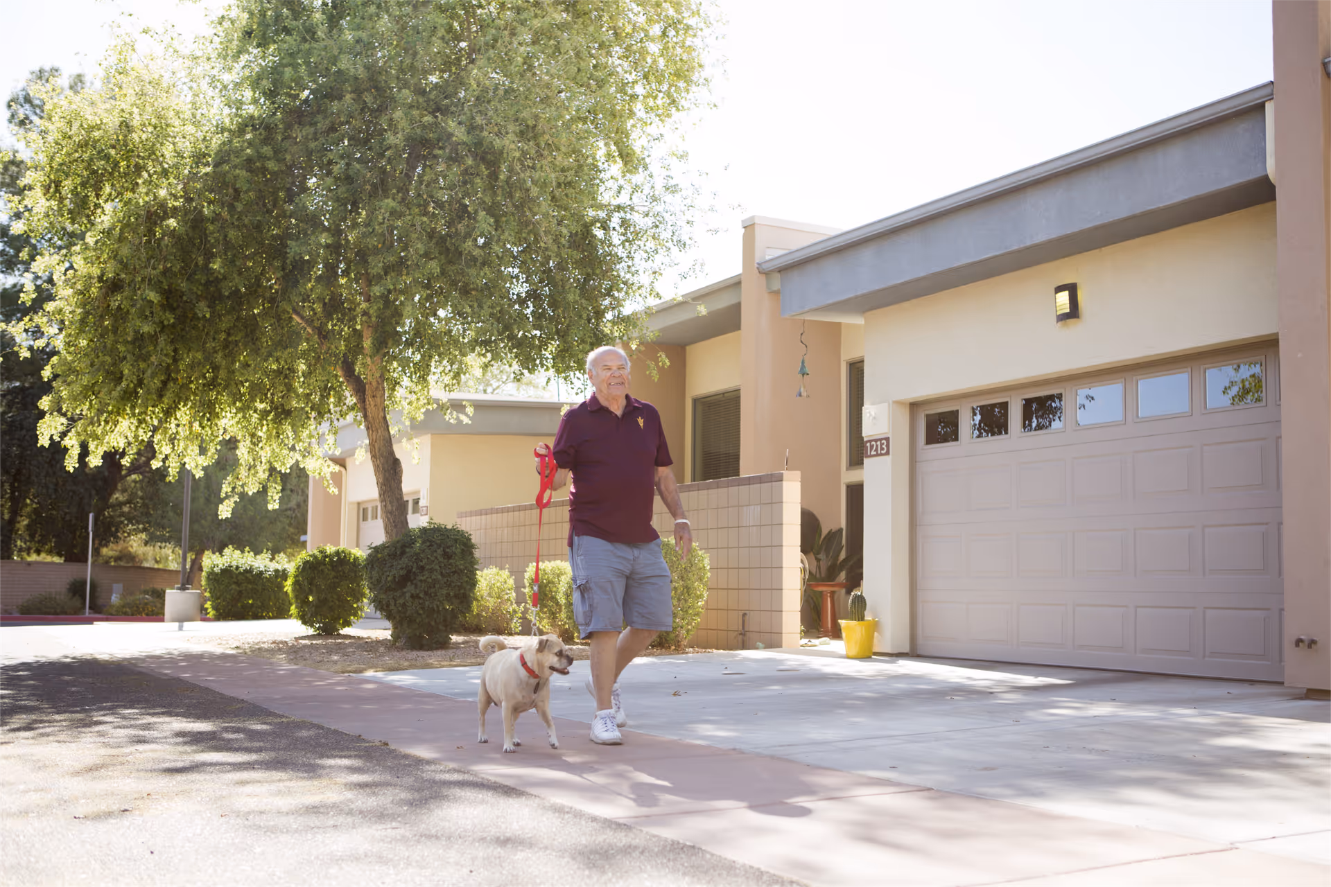 Senior man walks a dog along the front exterior of Beatitudes Campus.