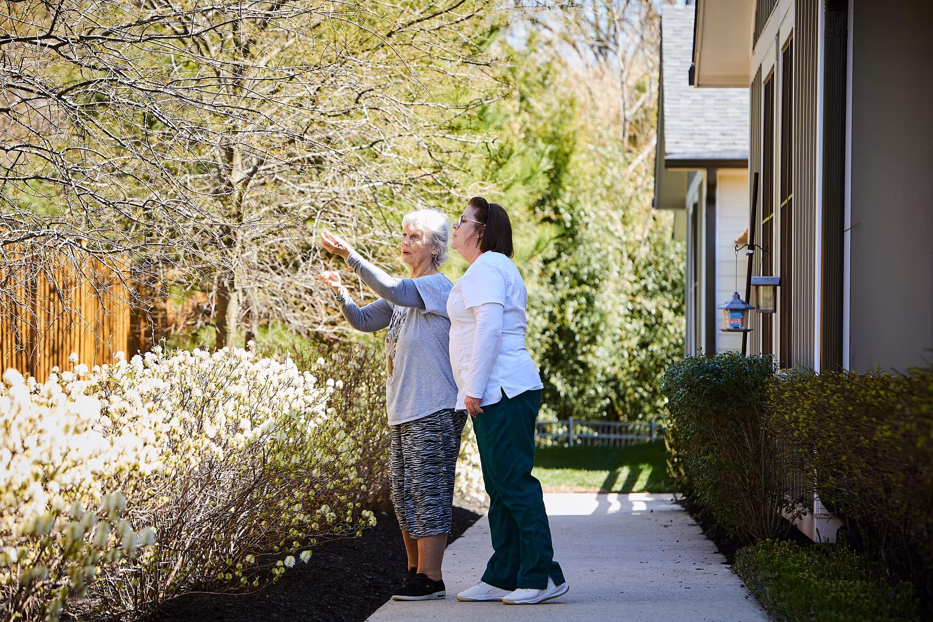 An elderly woman and a caregiver standing outside on a paved pathway next to a building, looking at and pointing towards a tree with budding branches. The scene is surrounded by bushes and greenery under bright daylight.