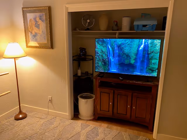 A TV sits on an entertainment cabinet inside a closet-like alcove in a living room.