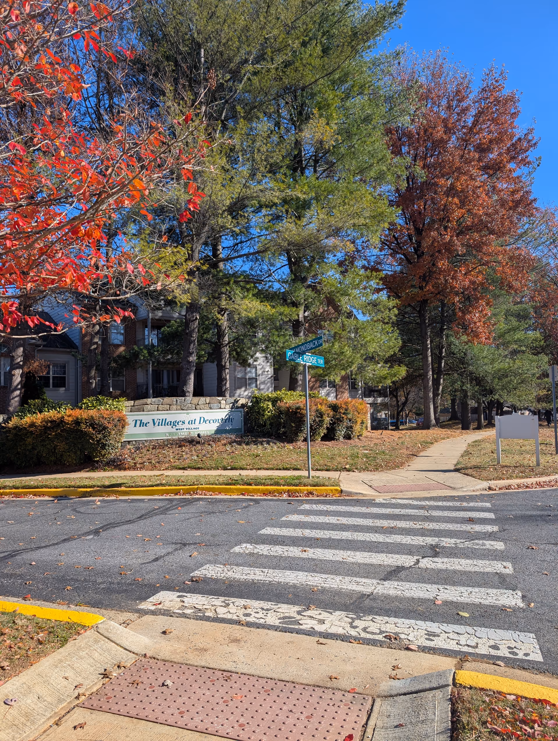Exterior view of a senior living building with trees and a crosswalk.