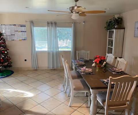 Dining room with a long table set for a meal, Christmas tree, and window light.