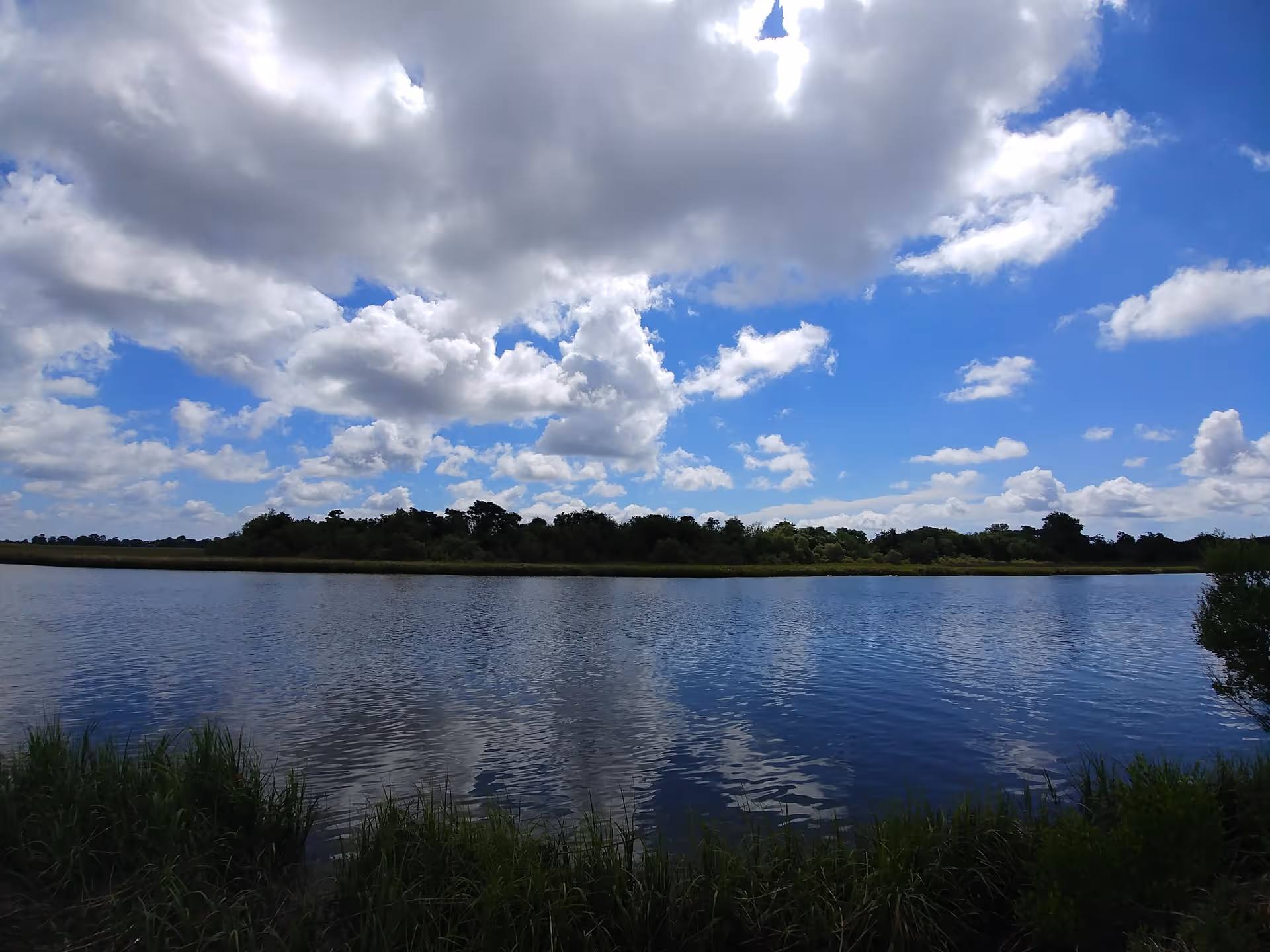 Calm water body with grassy shoreline beneath a bright, cloudy blue sky.