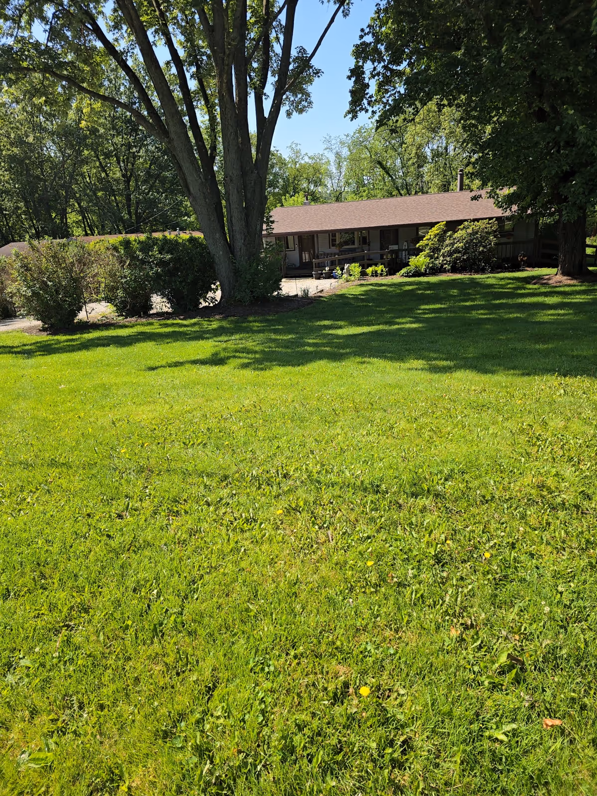 Single-story senior living facility with expansive green lawn and trees in front.