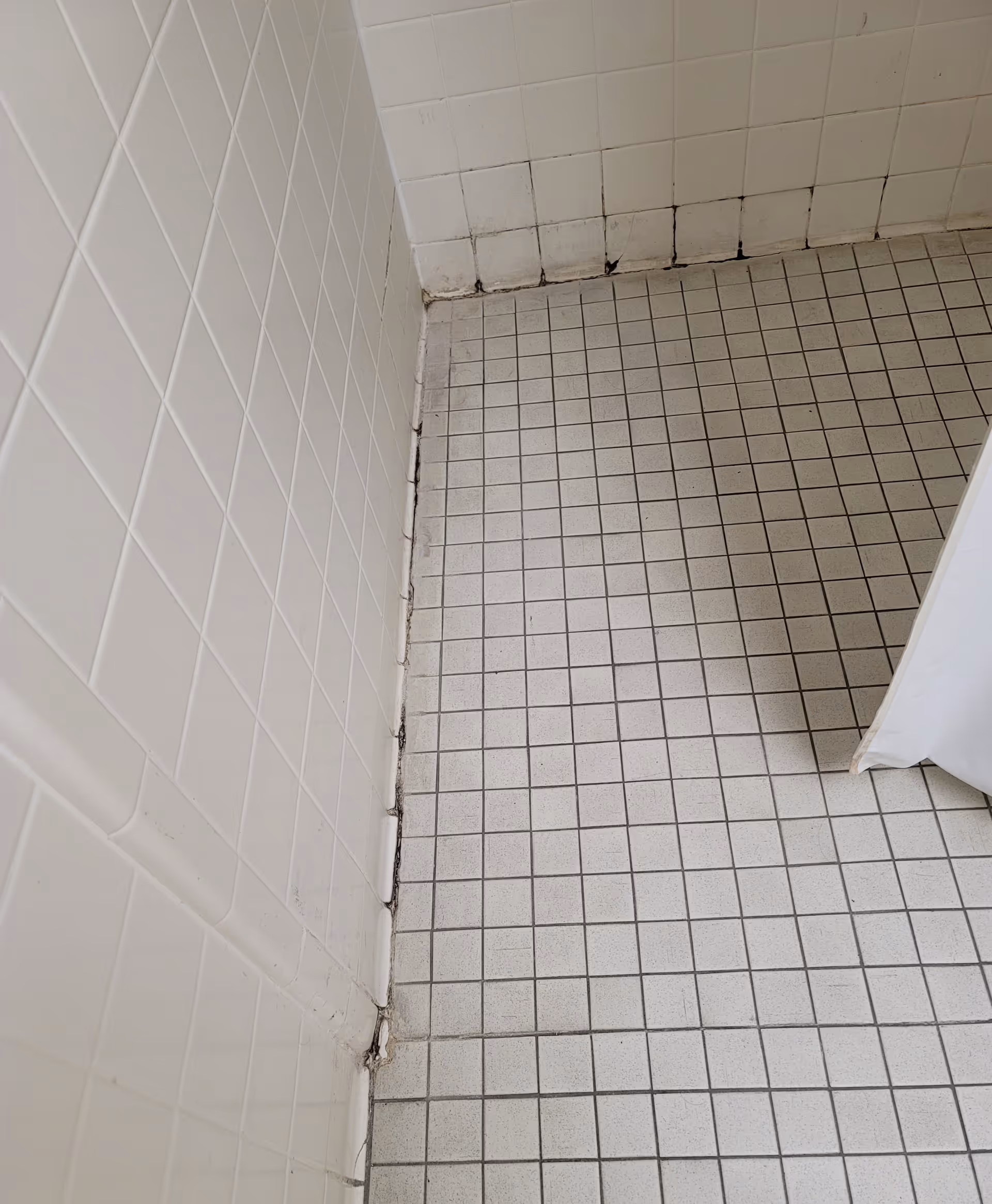Corner of a tiled bathroom with grout lines, white tiles, and a shower curtain.