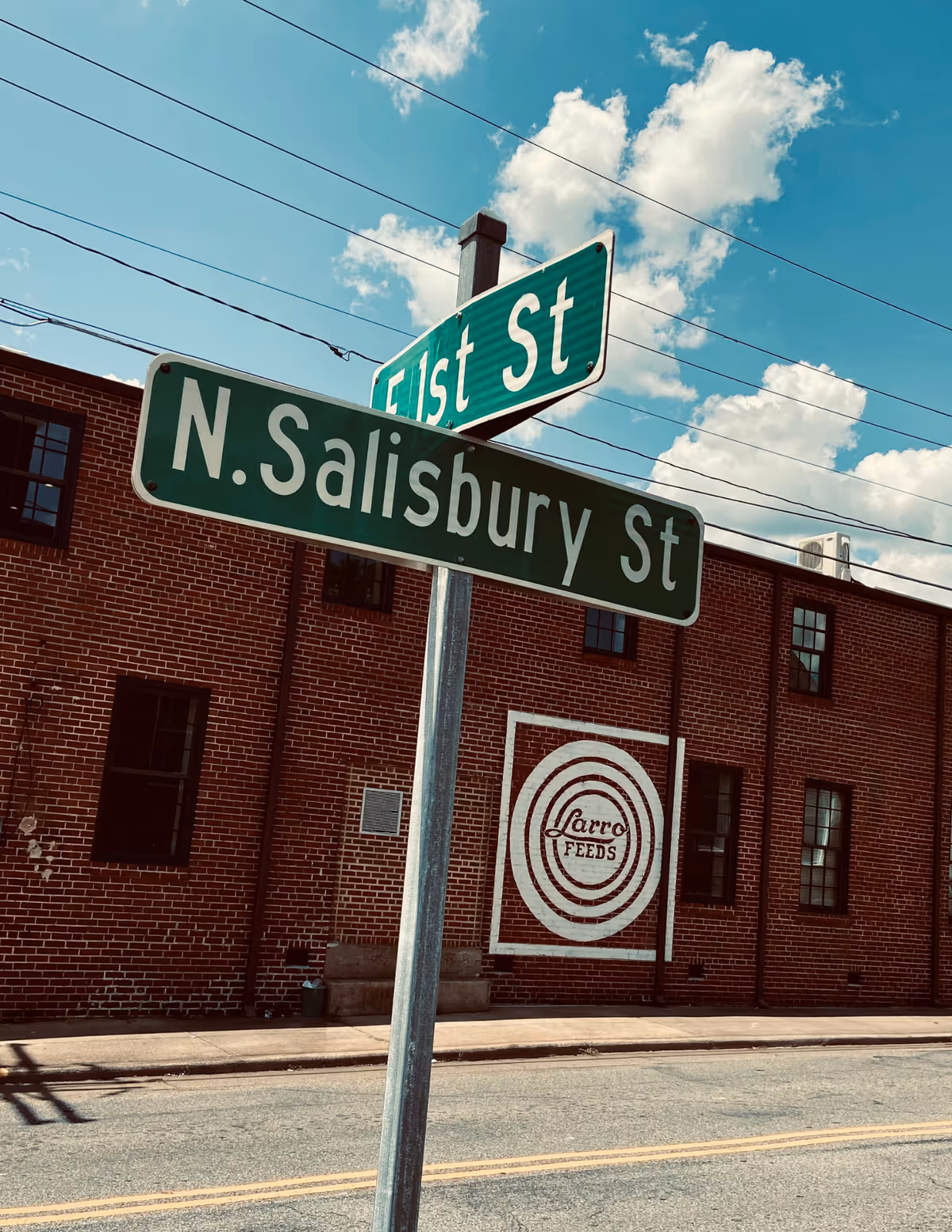 Street corner signs display East St and N. Salisbury St beside a brick building.