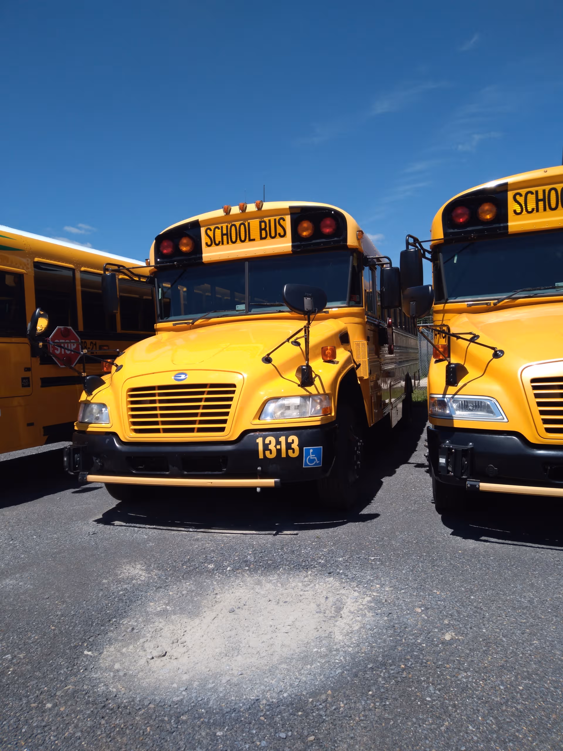 Several yellow school buses parked in a paved lot under a clear blue sky.
