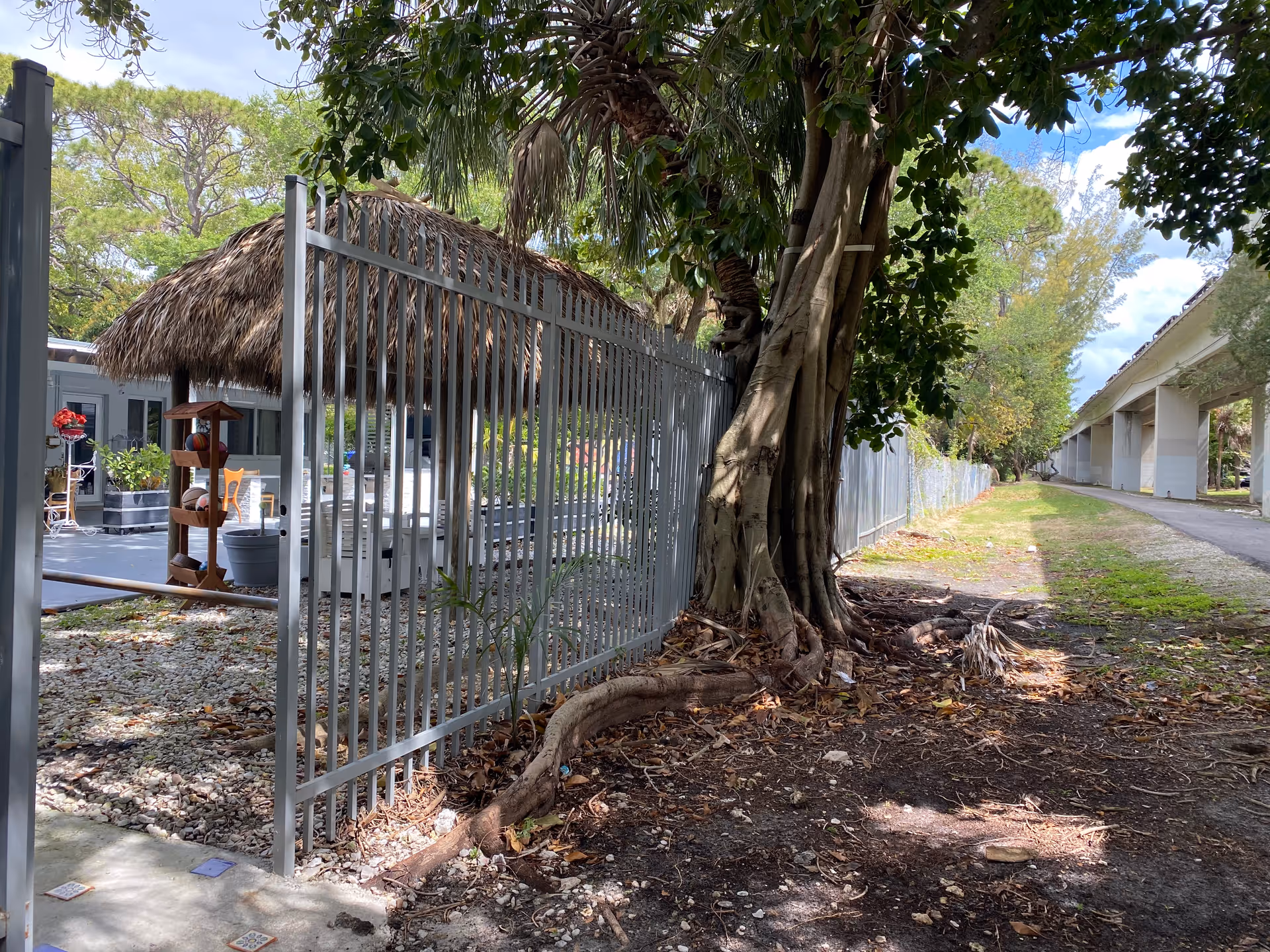 Outdoor area showing a metal fence with a large tree growing next to it. Behind the fence, there is a thatched roof structure with seating and plants. A paved path and grassy area run alongside the fence, with trees and a large elevated structure visible in the background under a partly cloudy sky.