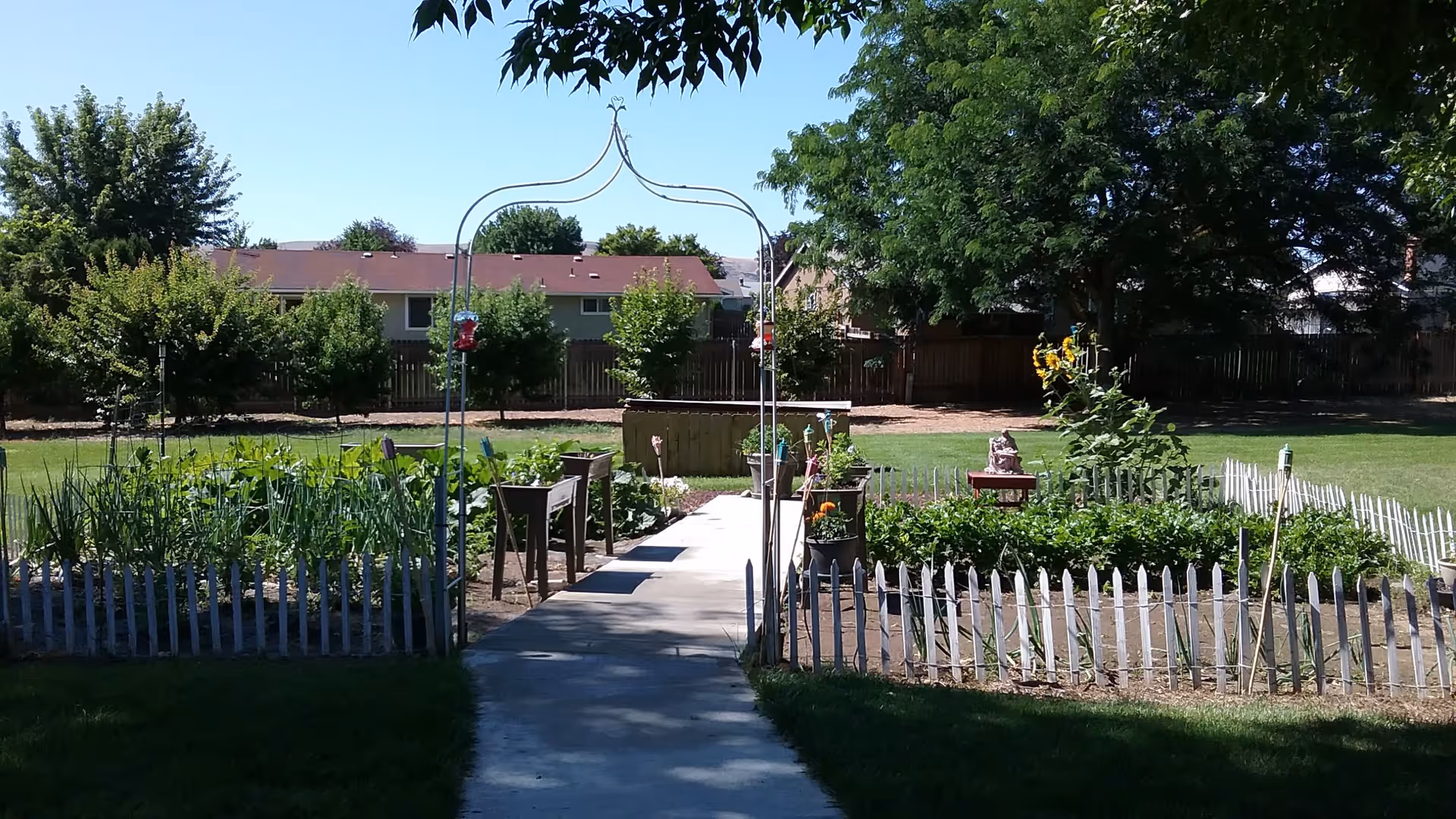 A paved walkway leads through a fenced community garden with raised beds, plants, and an archway in a grassy yard.