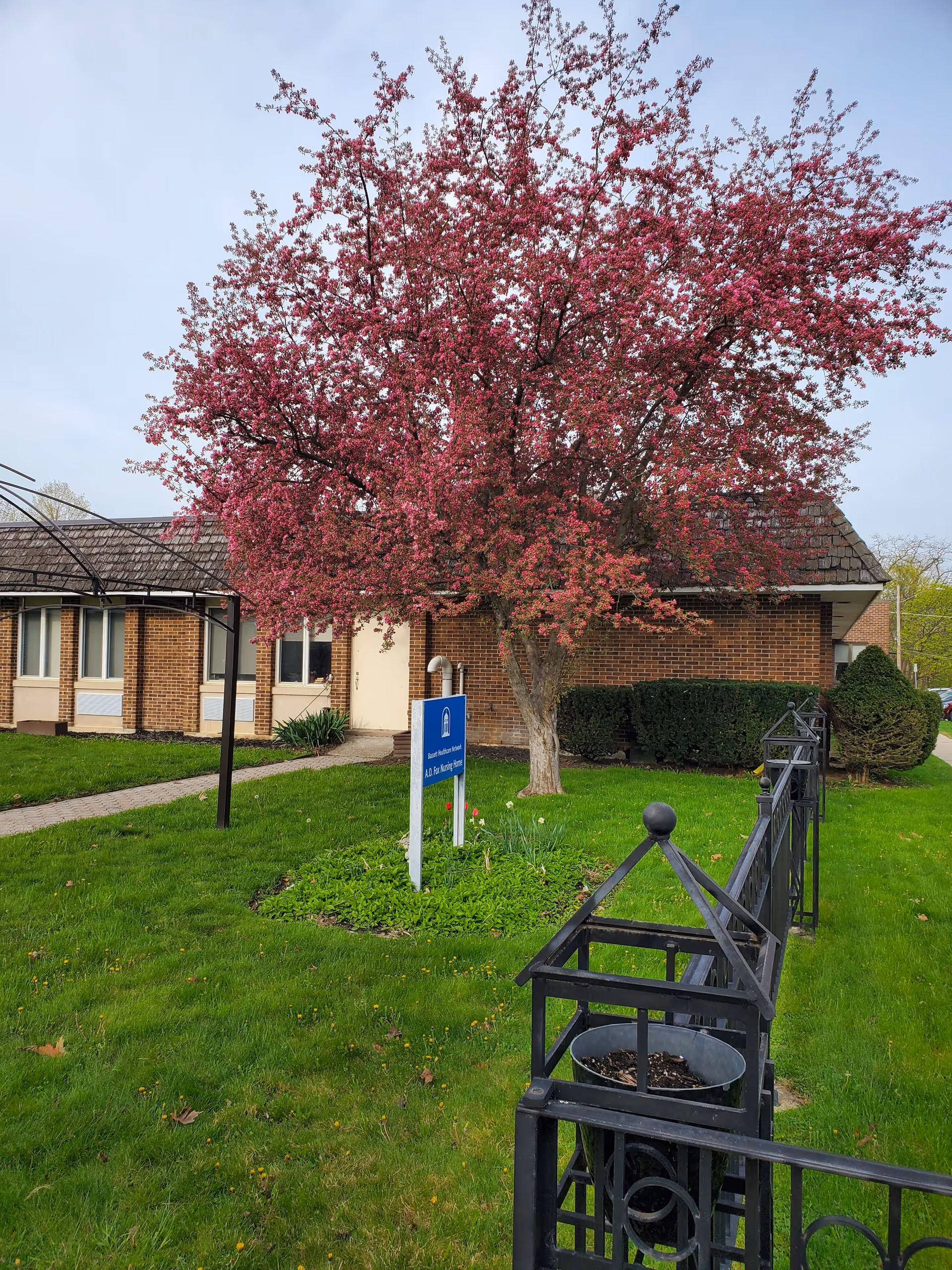 Exterior view of the facility with a pink blossoming tree and a blue sign.