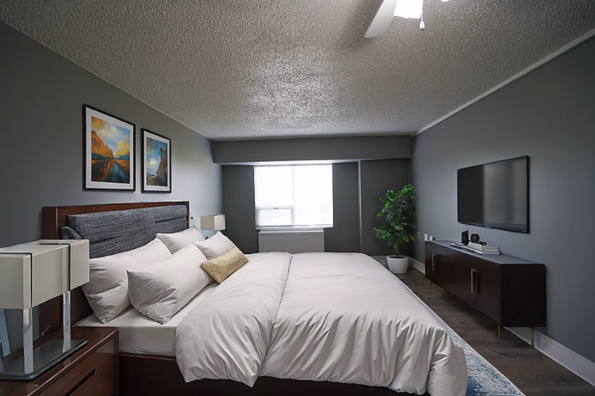 A modern hotel-style bedroom with a large bed, nightstands, a TV, and a plant.