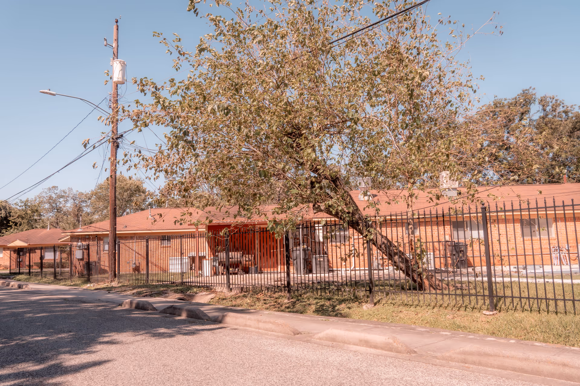 Exterior view of a single-story brick building with a brown roof behind a black metal fence. A tree with green leaves leans over the fence, and a utility pole with wires is visible on the left side. The scene is set on a sunny day with a clear blue sky.