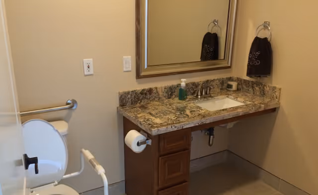 Bathroom with a toilet and grab bars, and a granite countertop vanity with sink and mirror.