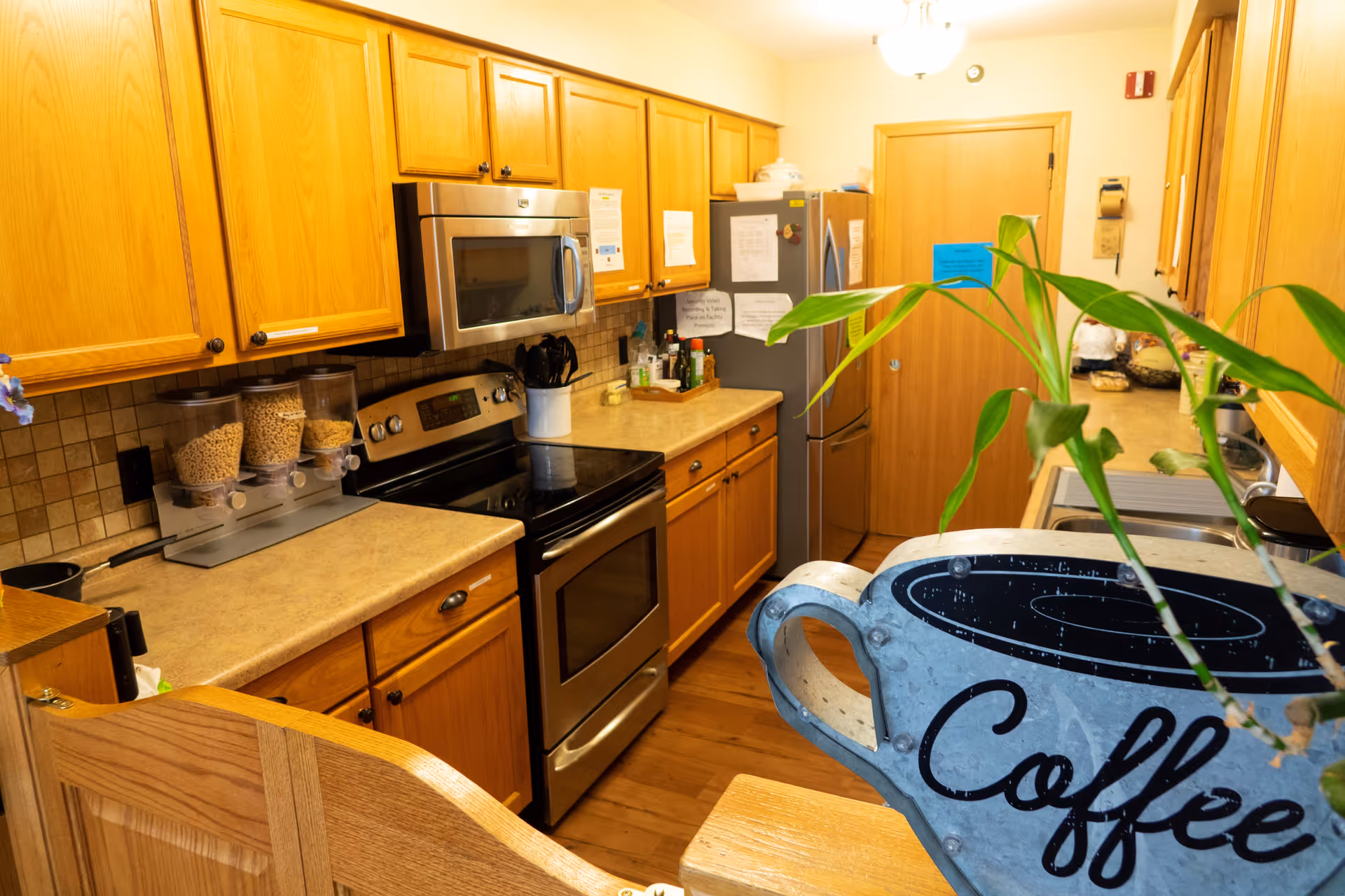 A kitchen with wooden cabinets, a stainless steel microwave and oven, a refrigerator with papers attached, cereal dispensers on the counter, and a plant in the foreground with a decorative sign shaped like a coffee cup that says 'Coffee'.