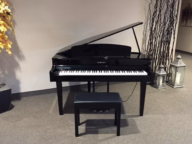 A black Yamaha grand piano with its lid open, accompanied by a matching black piano bench, placed on a carpeted floor in a room. To the left, there is a potted plant with yellow leaves, and to the right, decorative tall branches and two lanterns with candles inside are visible against a light-colored wall.