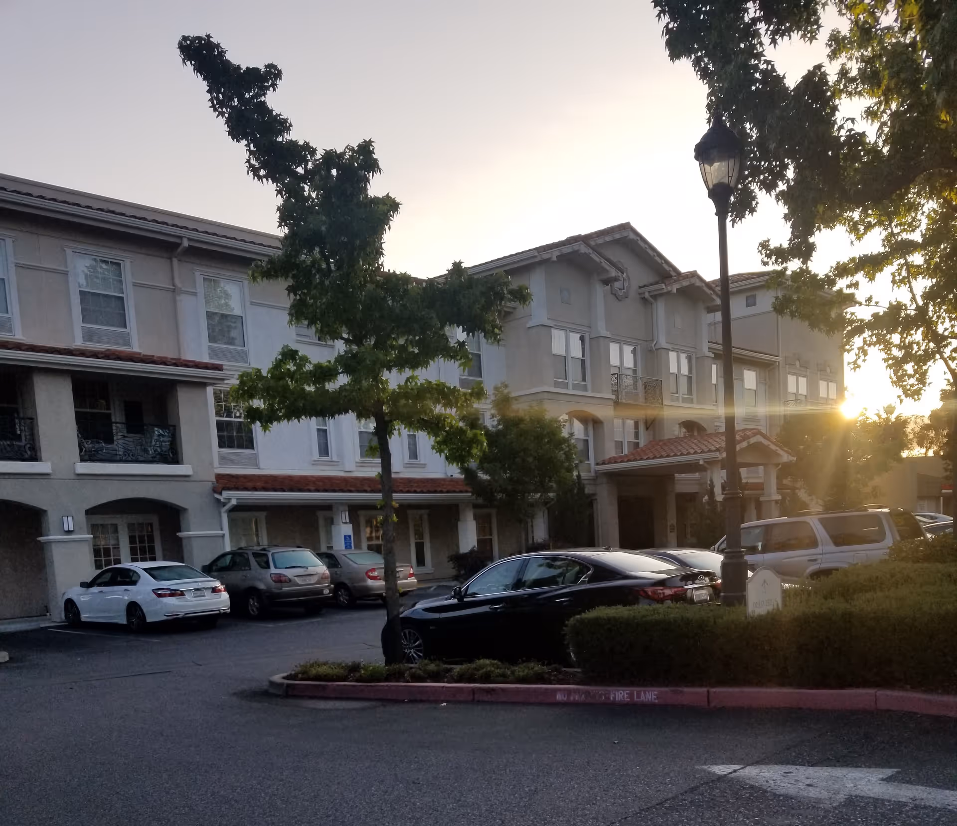 Exterior view of Belmont Village Senior Living Sunnyvale with parked cars and trees at sunset.