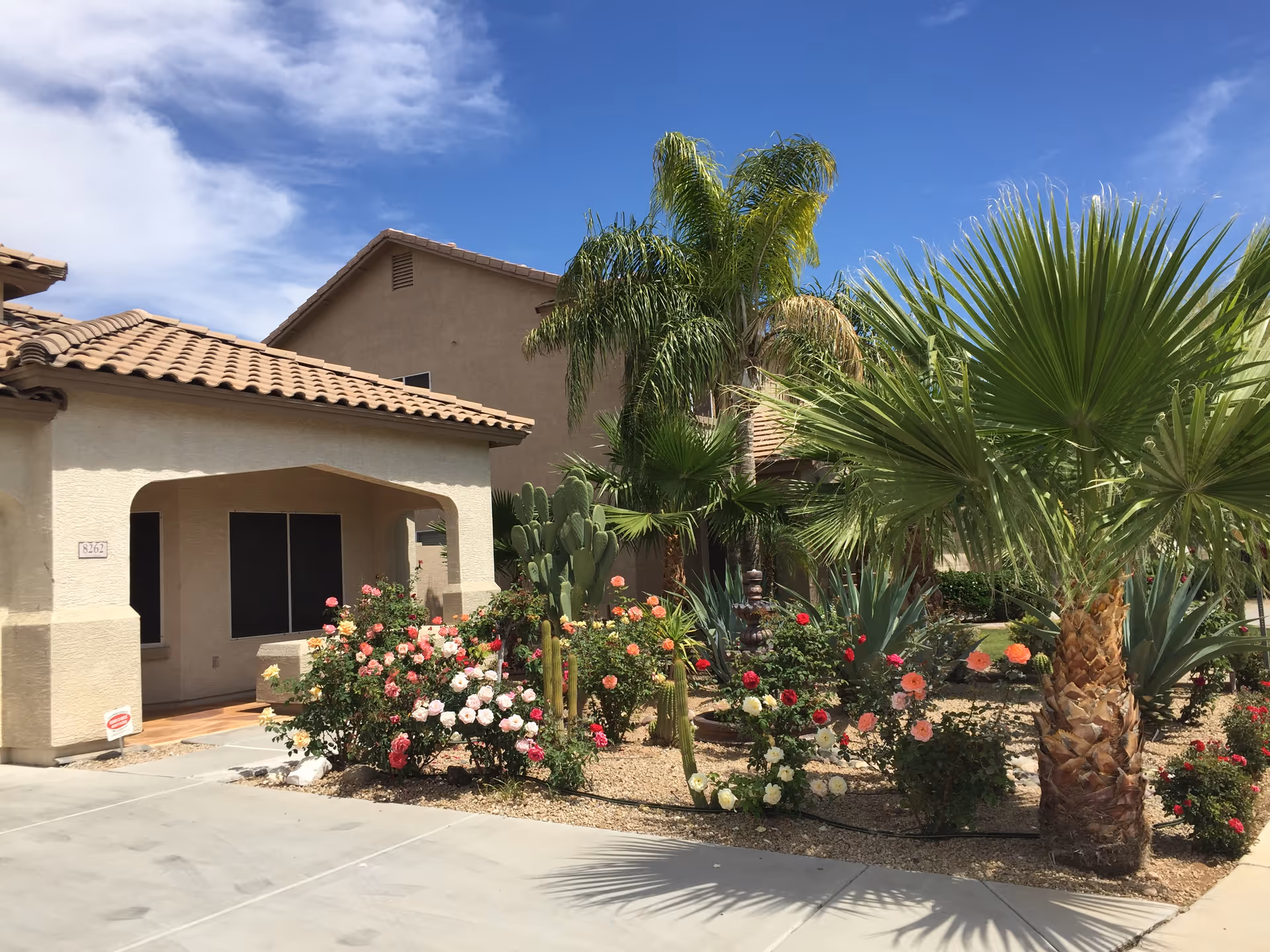 Sunlit beige assisted living facility front with desert landscaping and palm trees