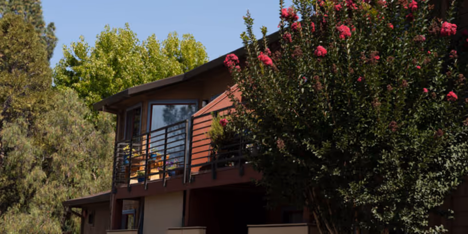 Exterior view of a two-story residential building with a balcony, surrounded by trees and a flowering shrub.