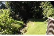 Sunlit outdoor lawn bordered by trees, with a wooden railing on the right.