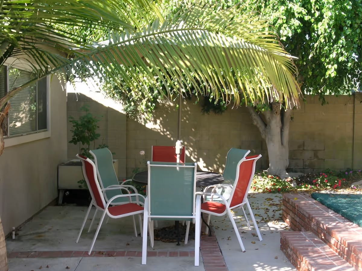 Shaded backyard patio with a round table surrounded by colorful outdoor chairs under a large palm frond.