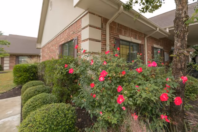 Exterior corner of a brick senior living building with windows, trimmed hedges, and blooming pink roses.