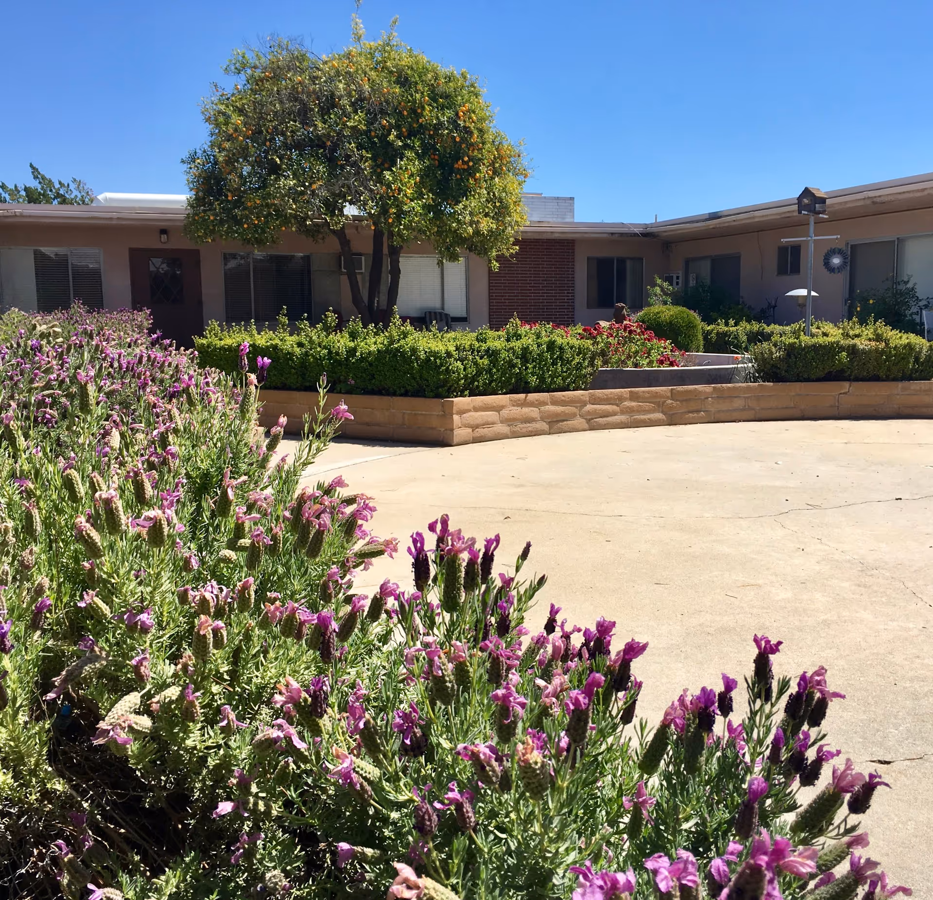 Exterior view of Belmar Villa with blooming foreground plants and a low brick planter.