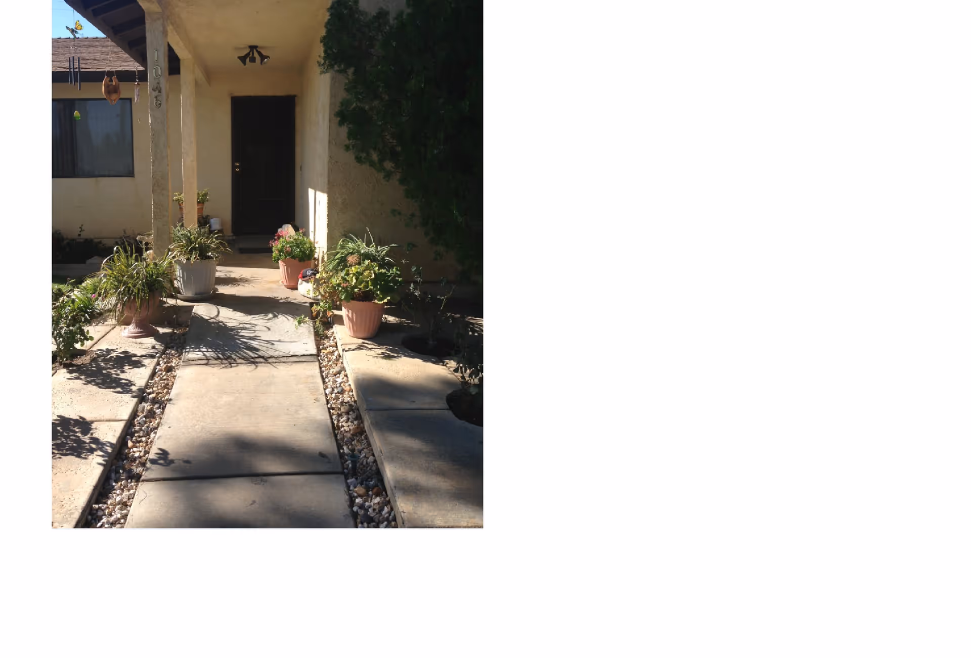 A concrete walkway leading to a dark wooden front door of a building, flanked by potted plants on both sides. The building exterior is light-colored with a covered porch supported by a column. There is a window to the left of the door and some greenery on the right side.