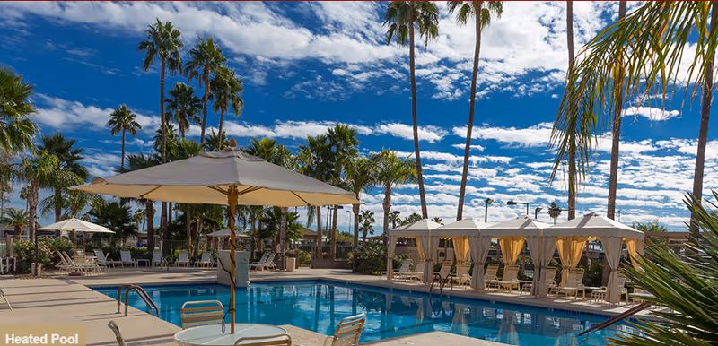 Outdoor pool area with palm trees, cabanas, lounge chairs, and umbrellas under a blue sky.